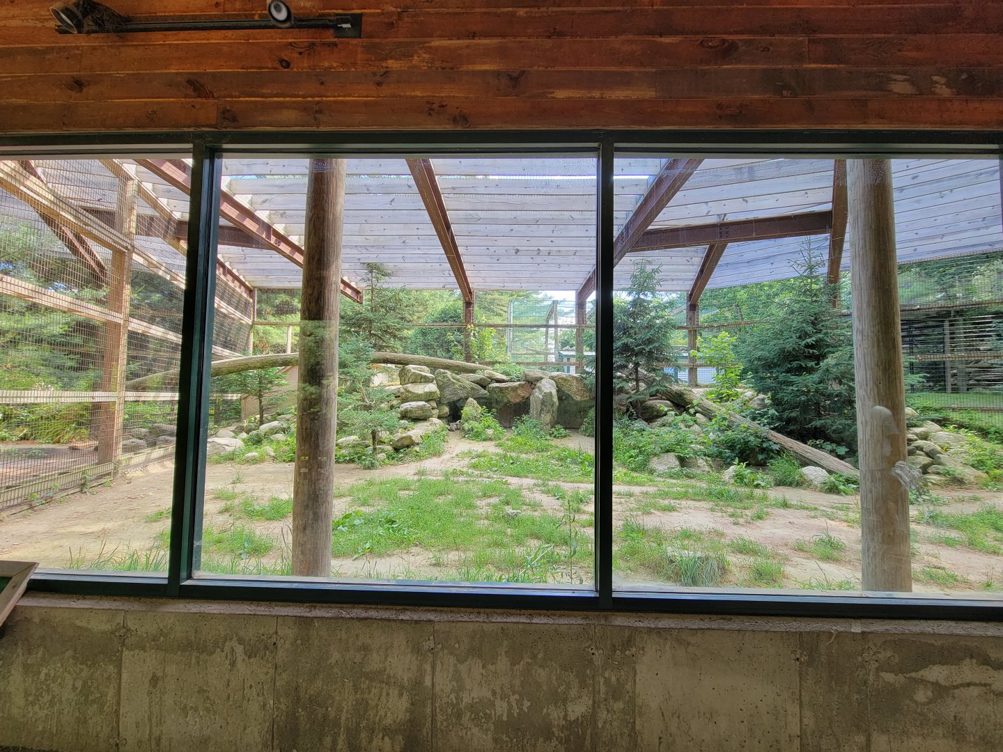 Maine Wildlife Park - Cougars, right side