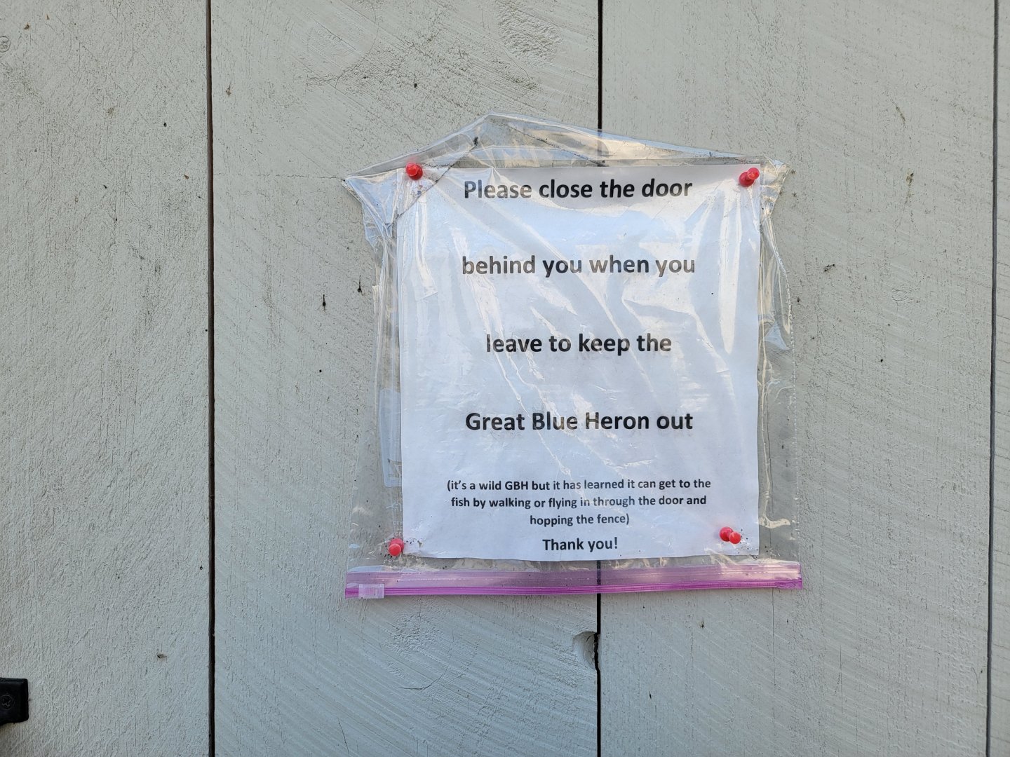 Maine Wildlife Park - Fish hatchery sign