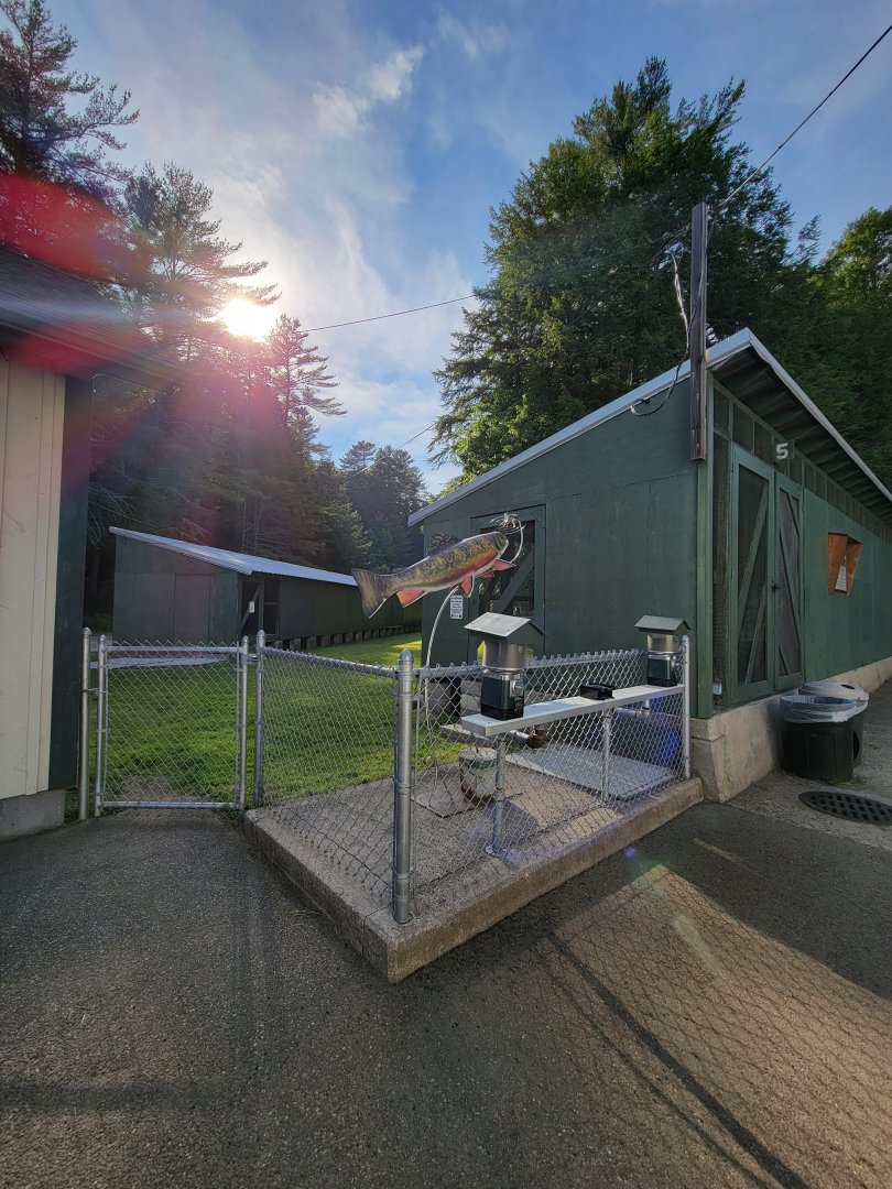 Maine Wildlife Park - Fish hatchery