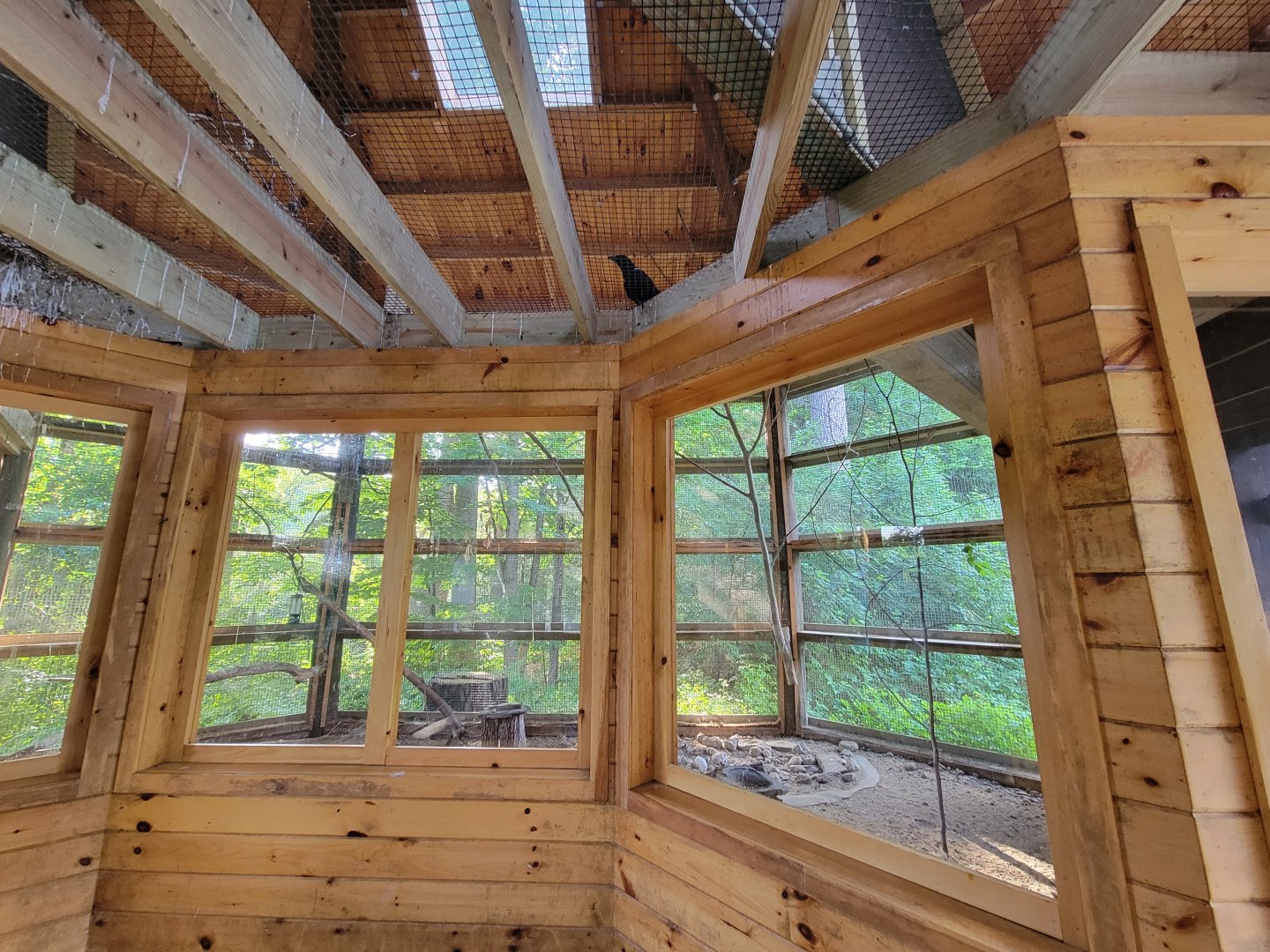 Maine Wildlife Park - Inside backyard birds aviary