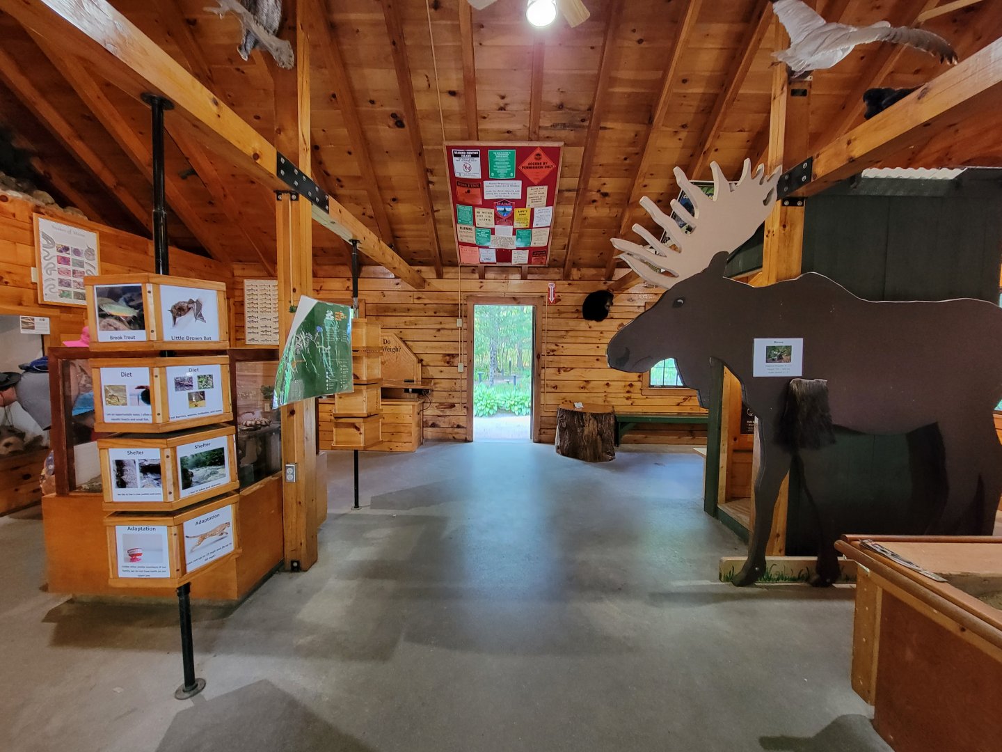 Maine Wildlife Park - Inside first building, herps on left