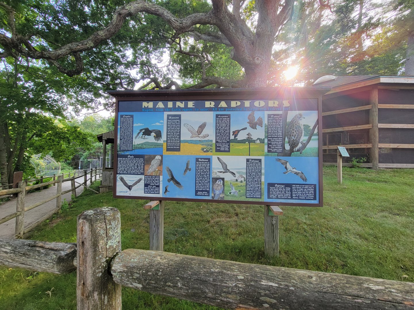 Maine Wildlife Park - native raptors sign