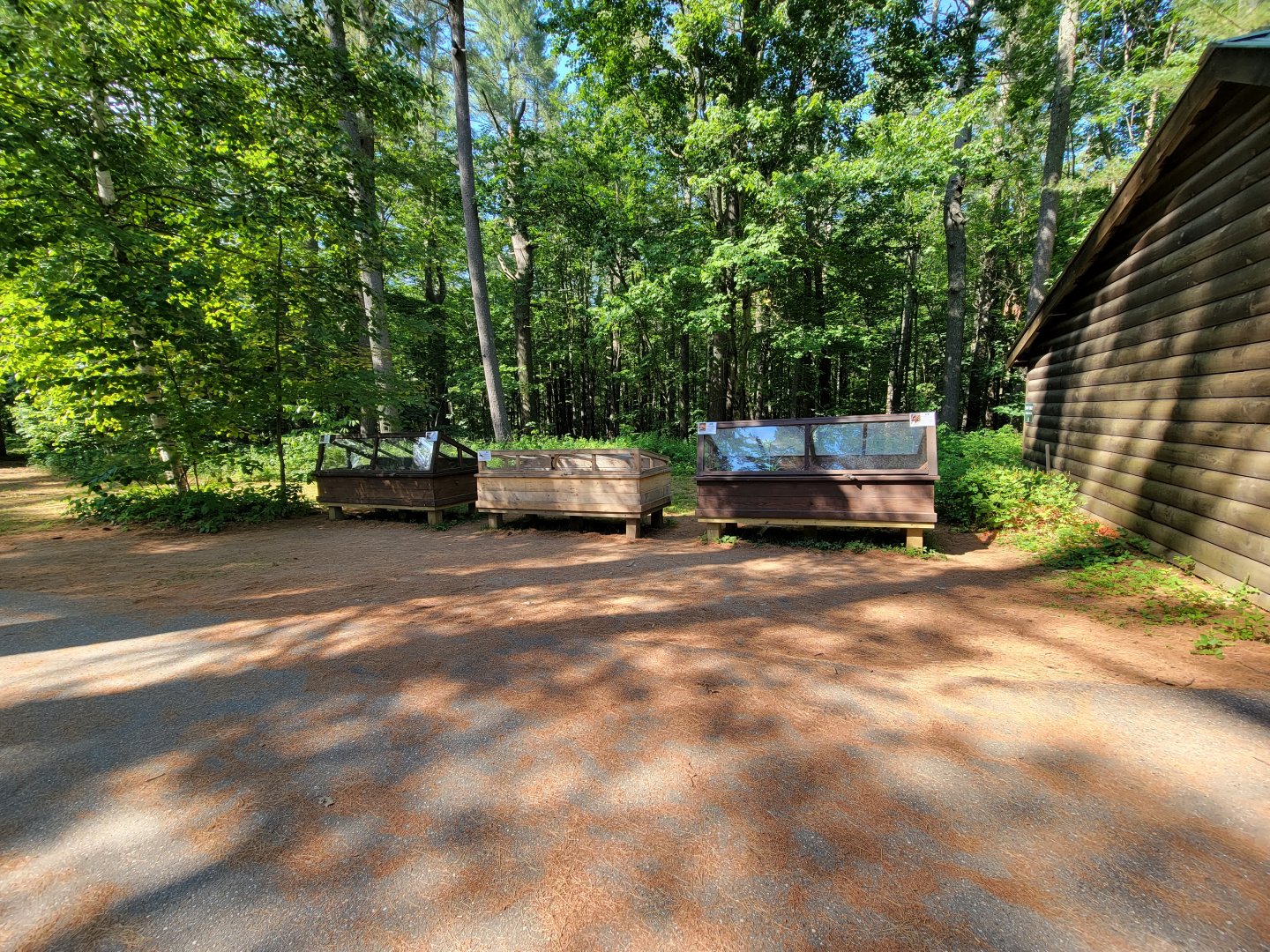 Maine Wildlife Park - Outdoor turtles area