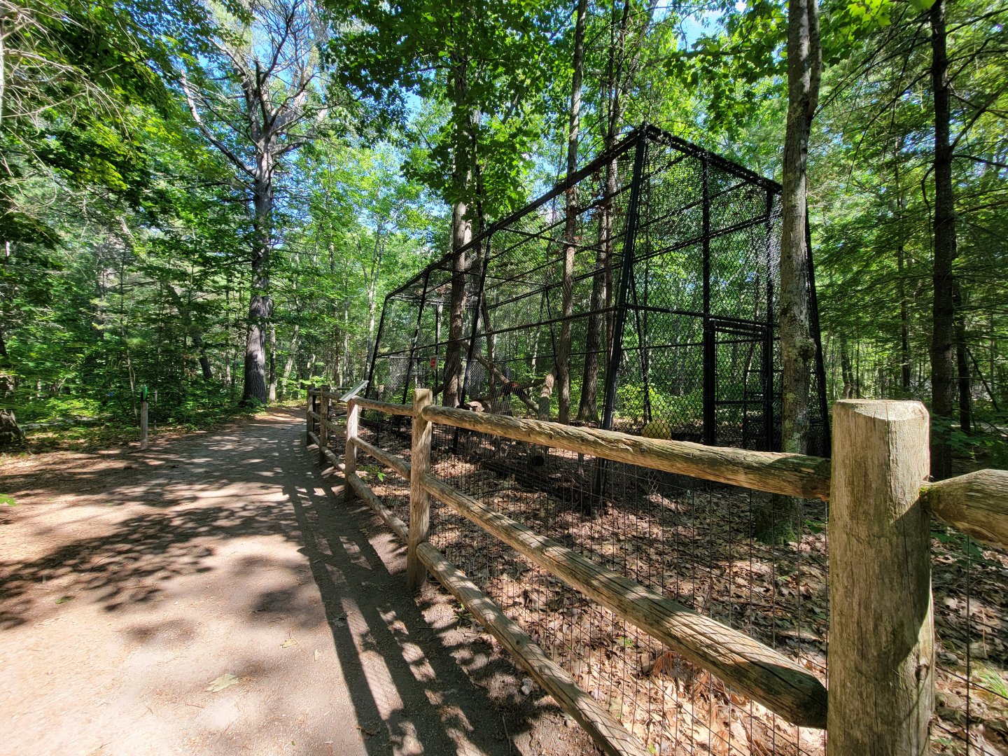 Maine Wildlife Park - Path along small mammals (fisher)