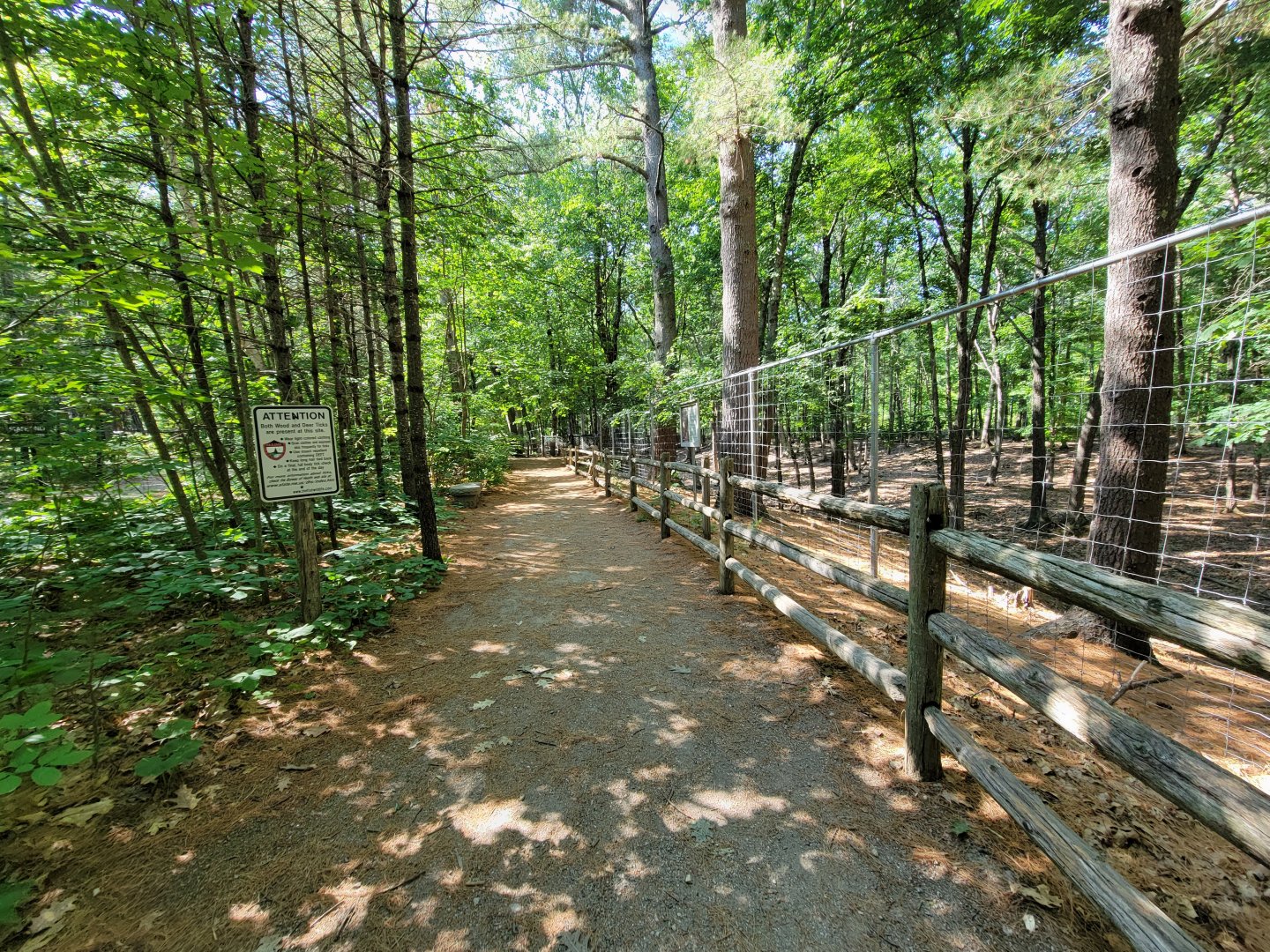 Maine Wildlife Park - Path along white-tailed deer