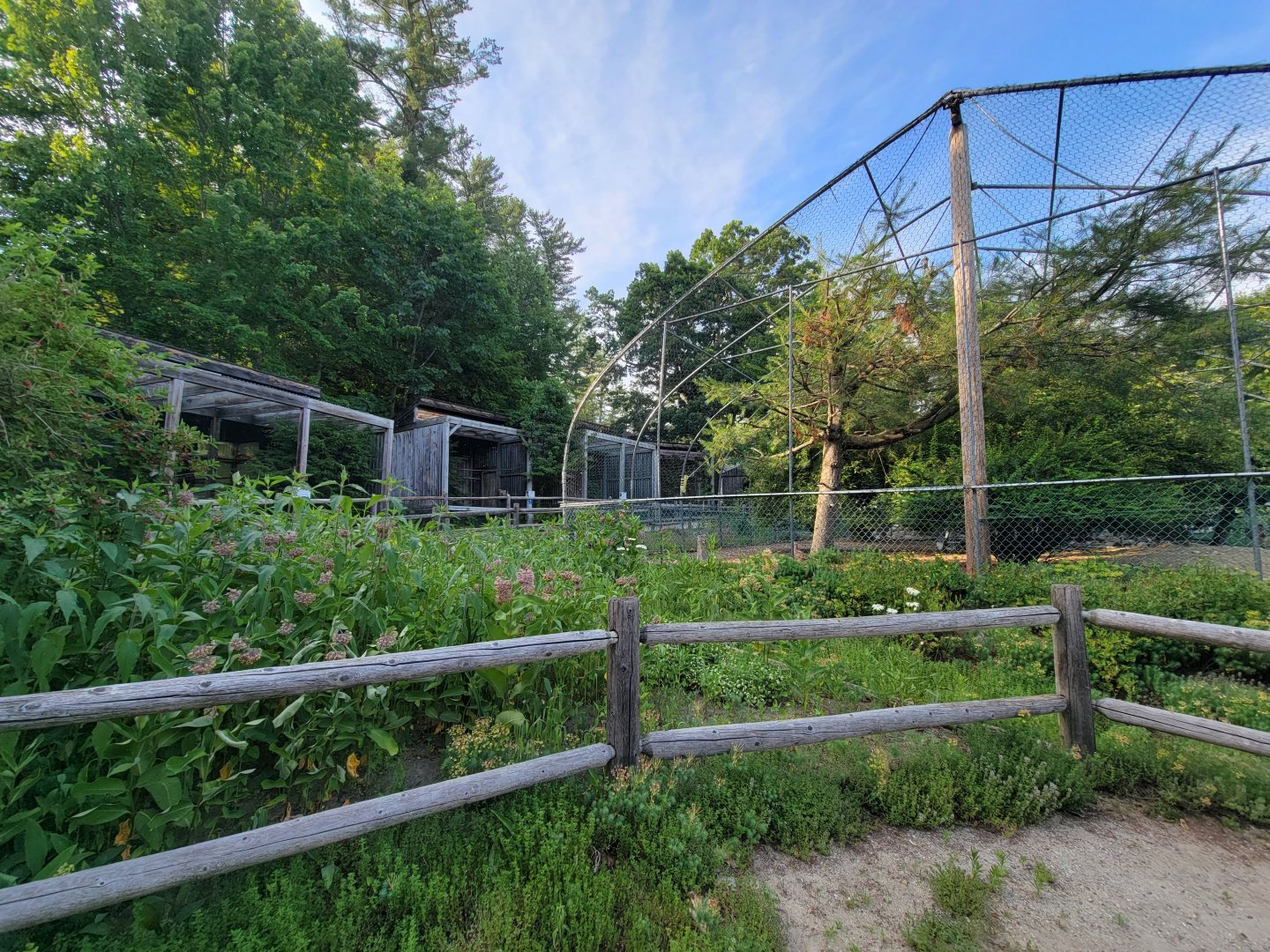 Maine Wildlife Park - Raptor aviaries, "ground bird" aviary