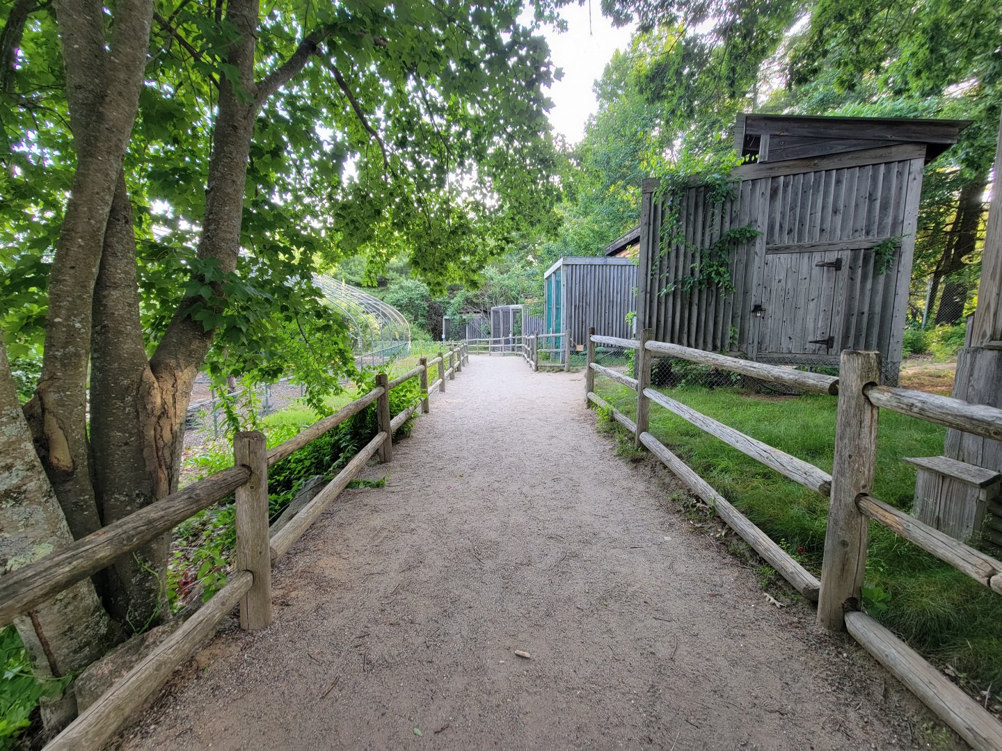 Maine Wildlife Park - Raptor aviaries