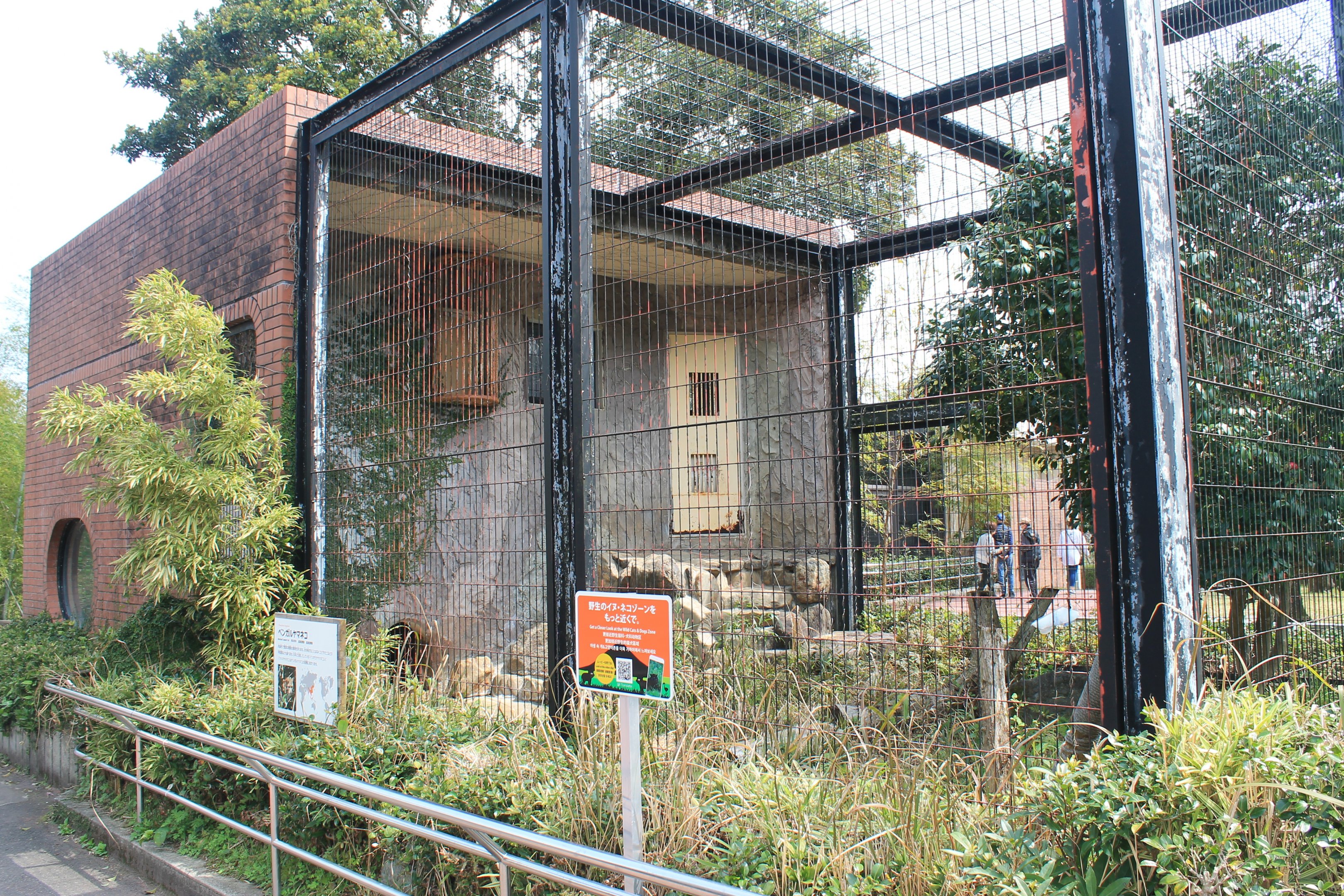 Mainland Leopard Cat cage - Hirakawa Zoo (Kagoshima)