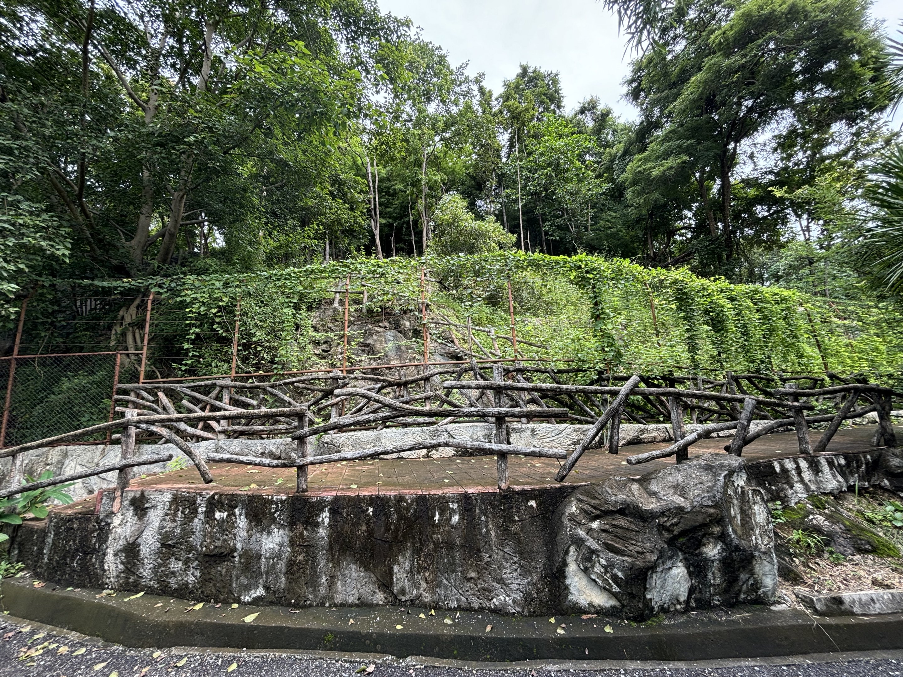 Mainland Serow Exhibit