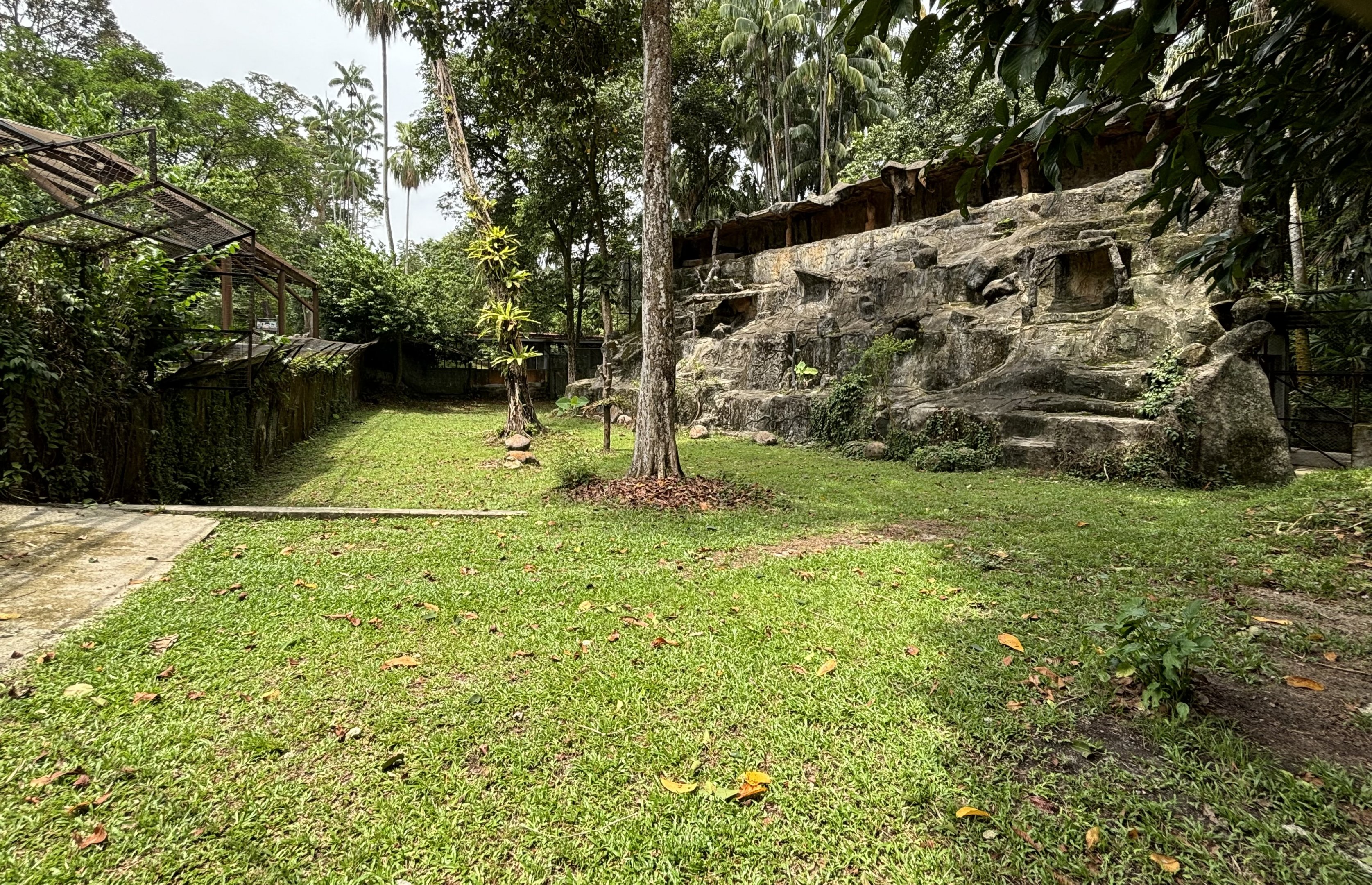 Mainland Serow Exhibit