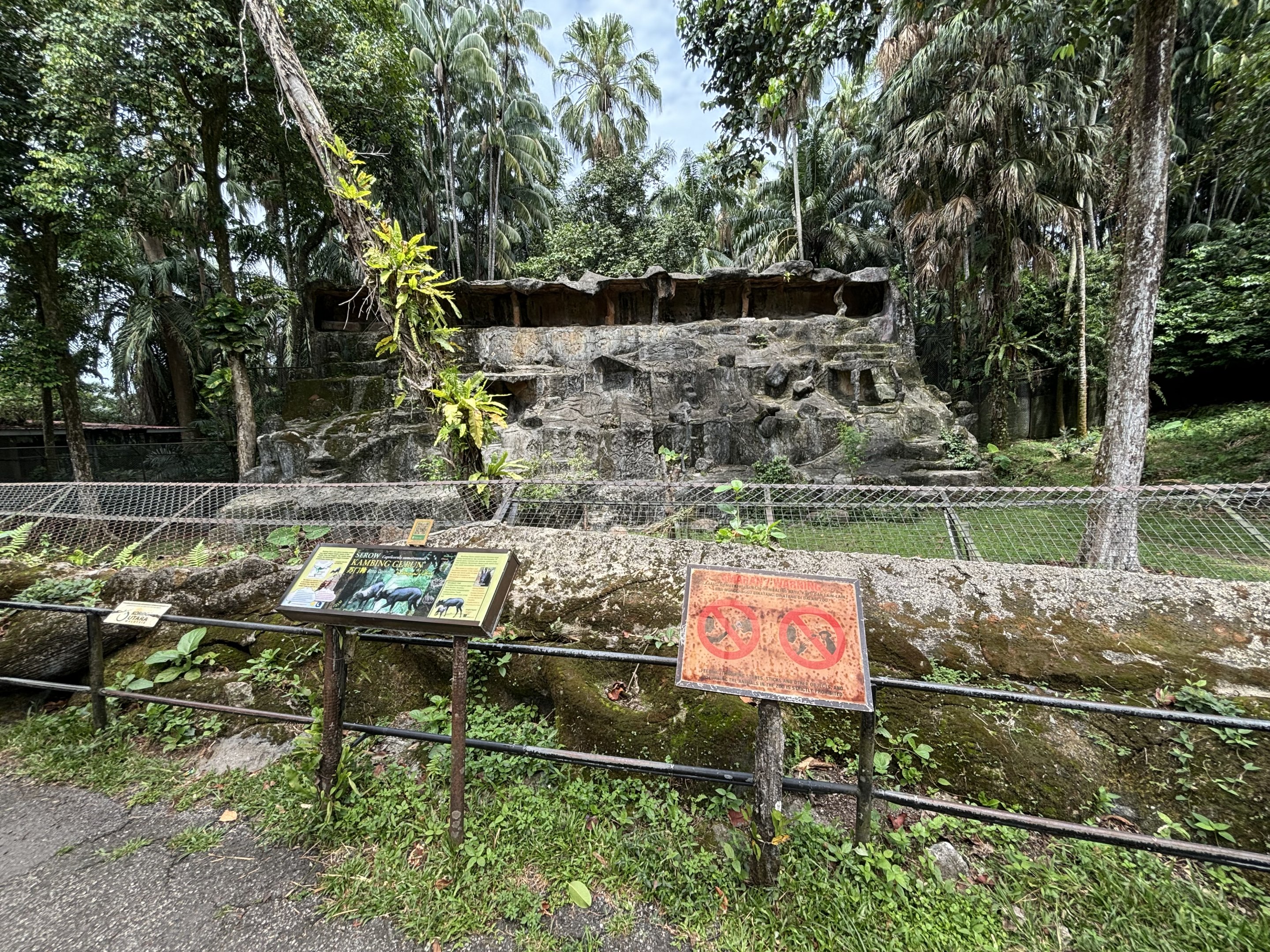 Mainland Serow Exhibit