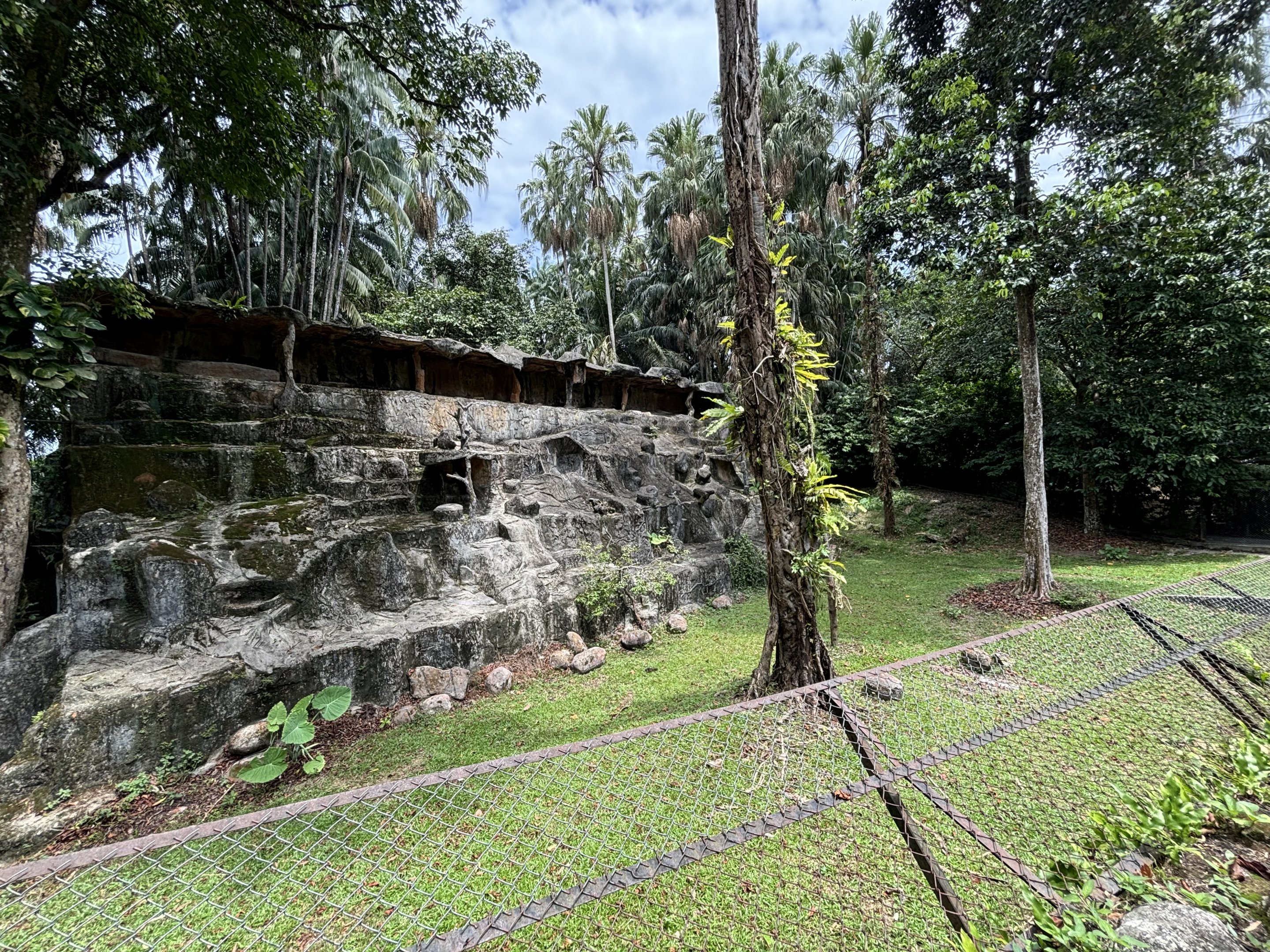 Mainland Serow Exhibit