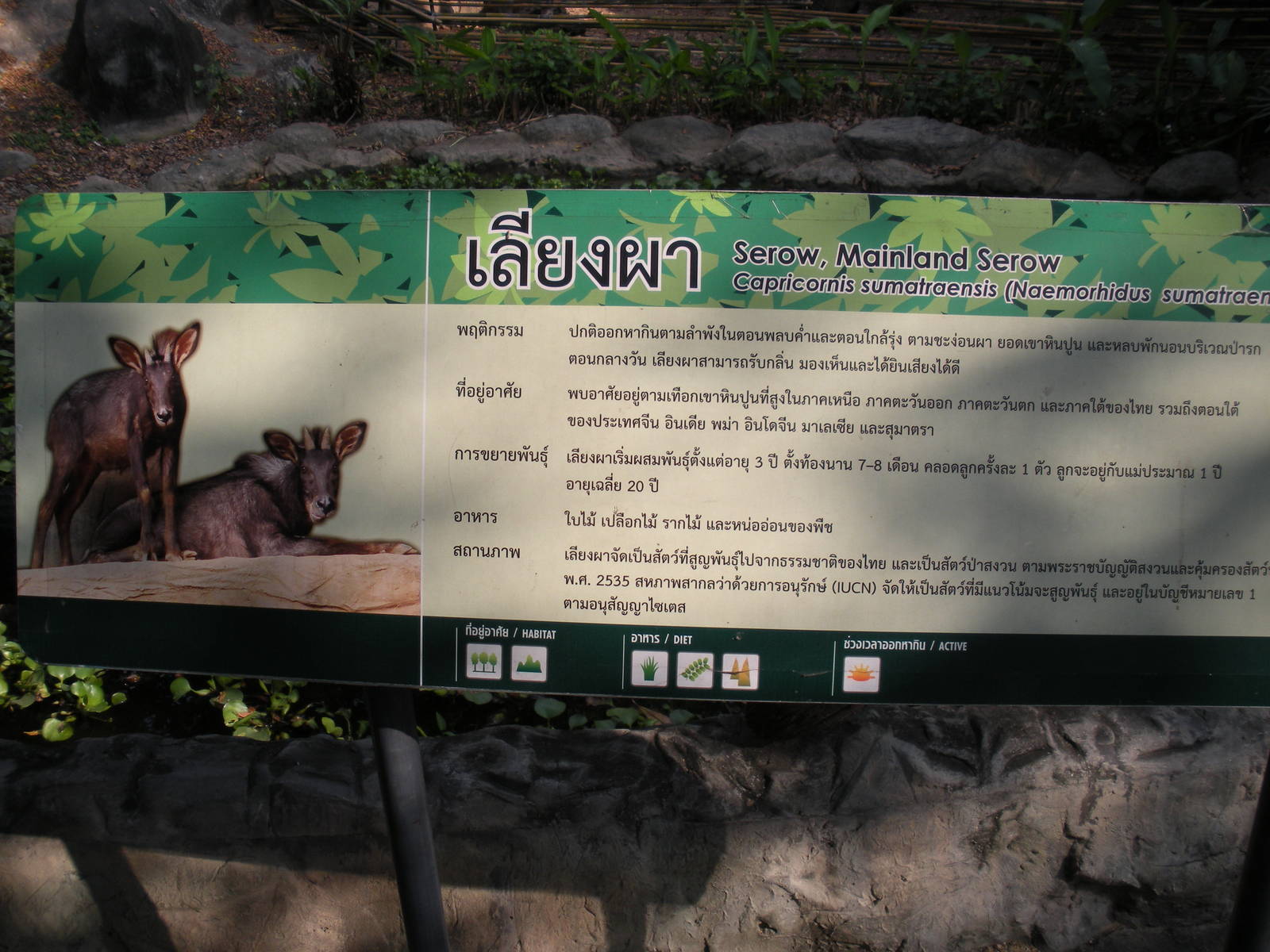 Mainland Serow signage