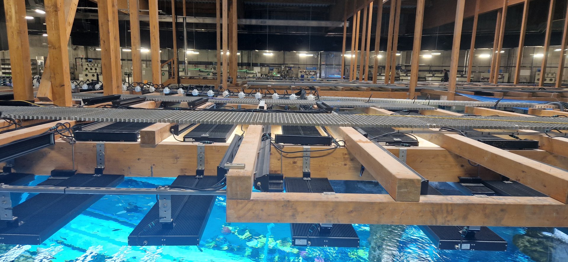 Maintenance area above the Shark tunnel