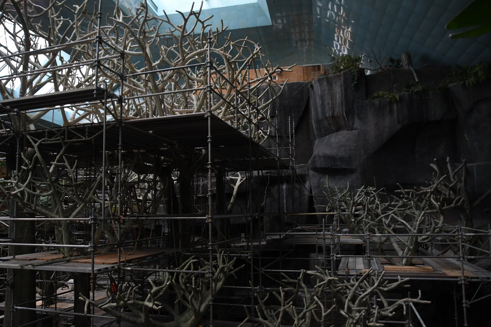 Maintenance in Tropic World: Africa