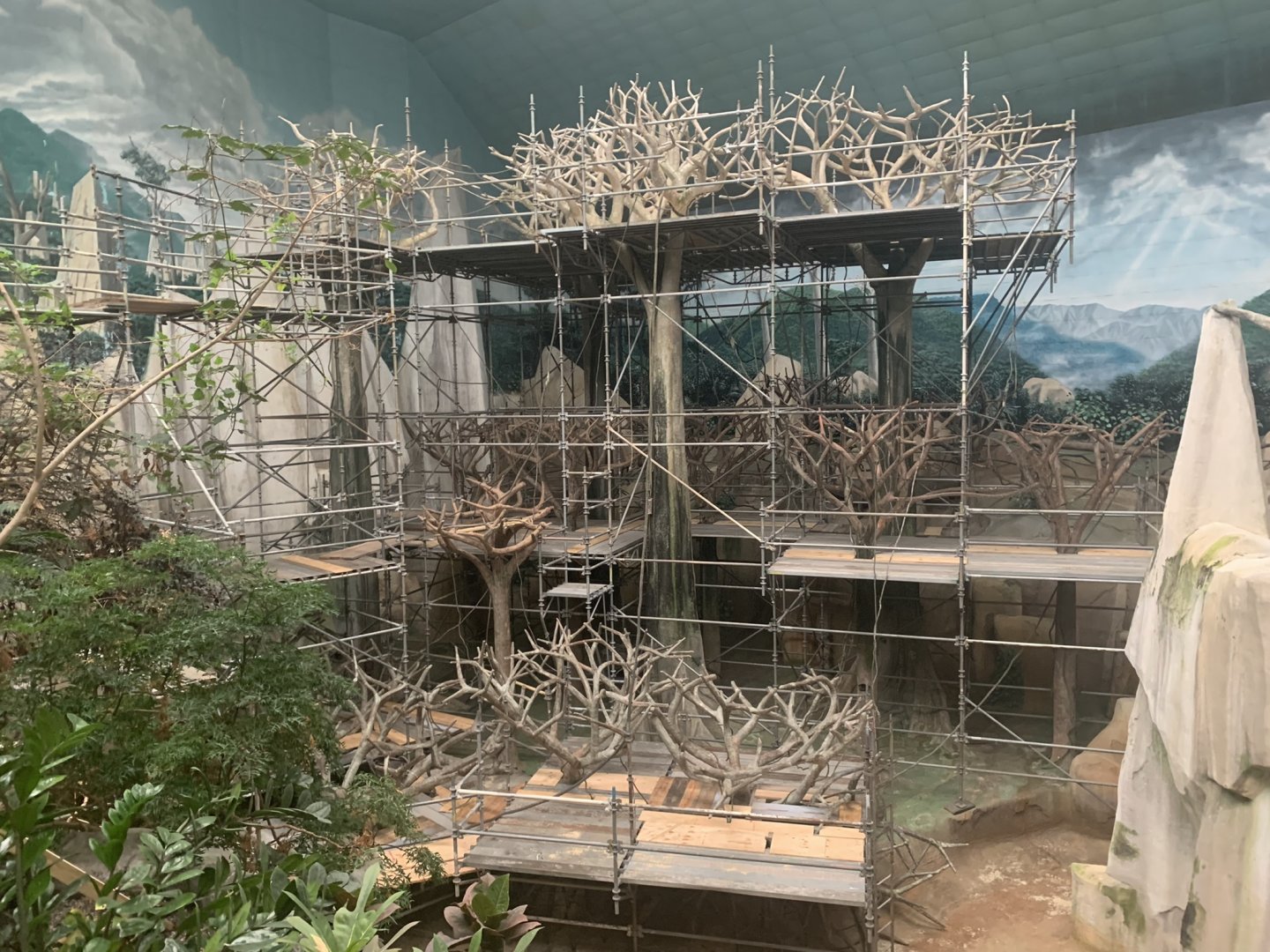 Maintenance in Tropic World: Asia