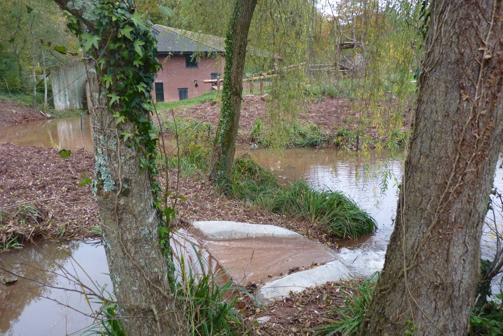 Maintenance Update, 17 November 2013