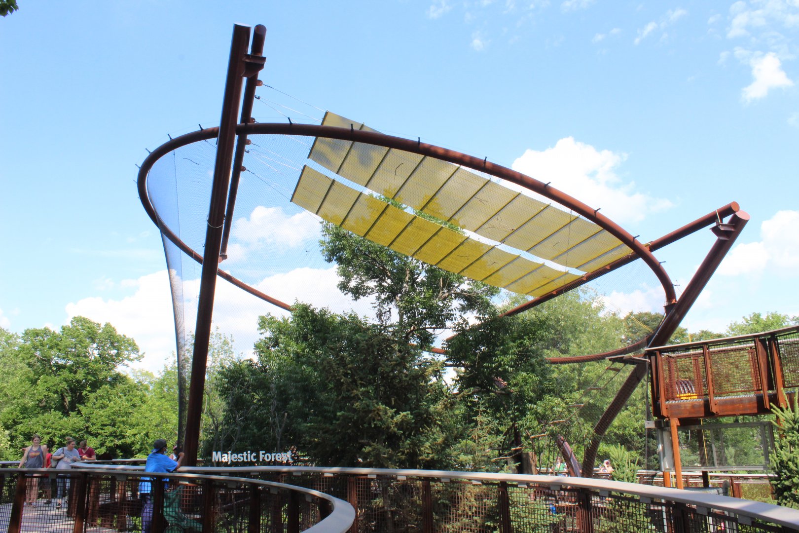 Majestic Forest (Black-handed Spider Monkey) - Primate Canopy Trails