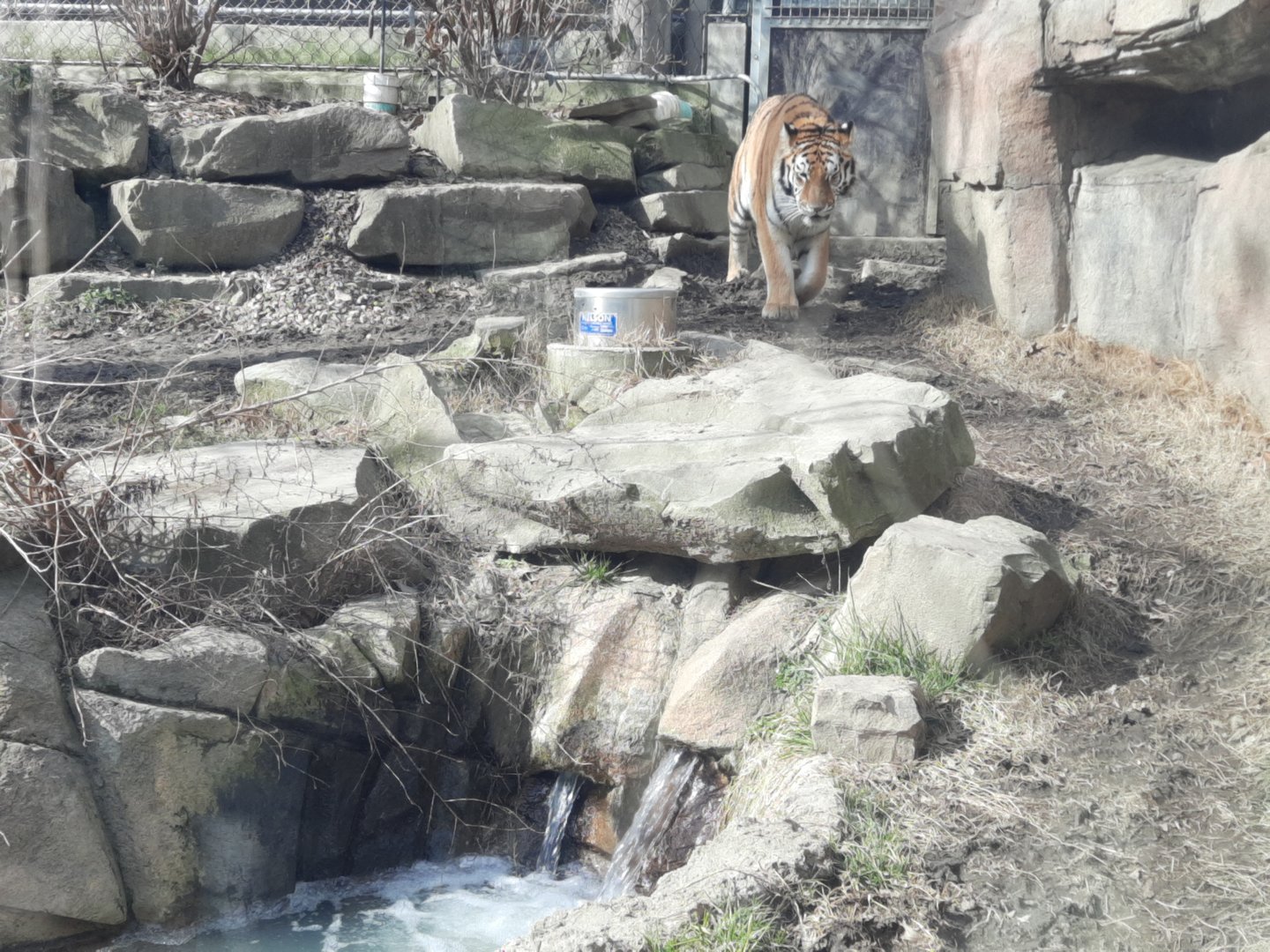 Majestic. Truly no other word for it