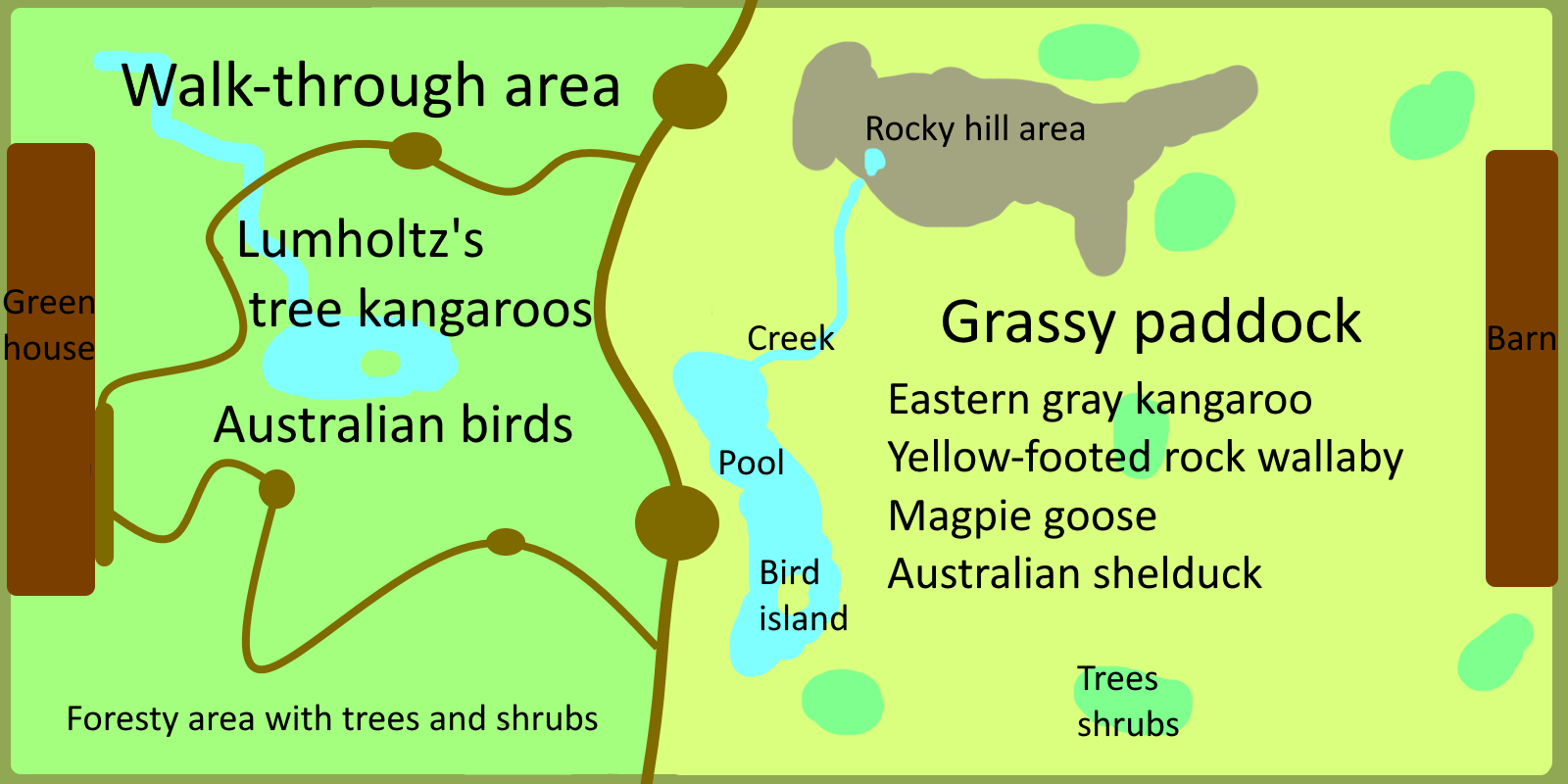 Make a Mixed Species Exhibit For That Animal - Eastern gray kangaroo / Queensland Outback