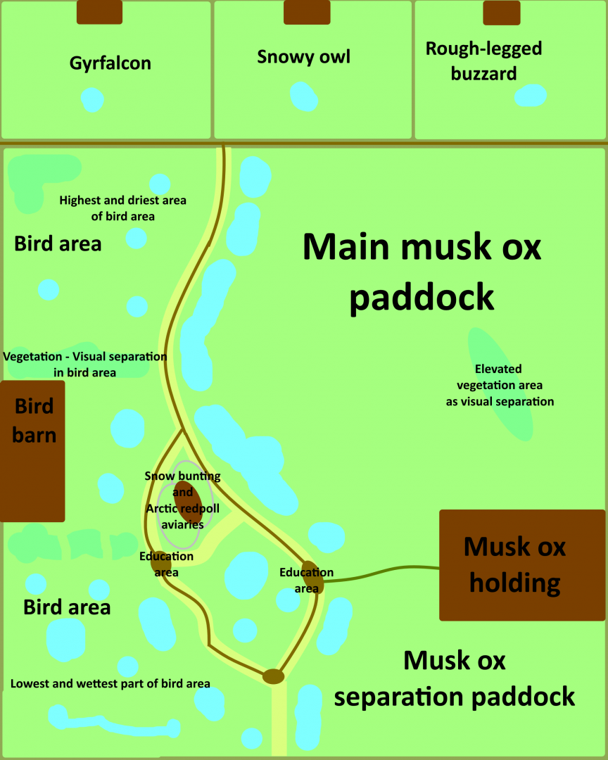 Make a Mixed Species Exhibit For That Animal - Musk ox / Nunavut Tundra