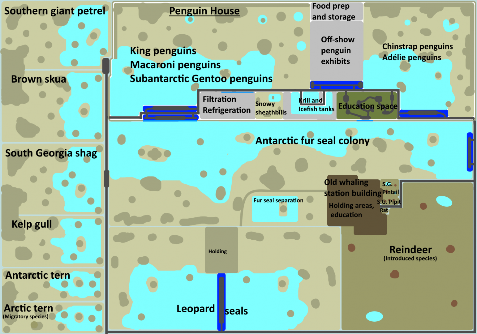 Make an Exhibit for that Island - South Georgia, Edge of Antarctica