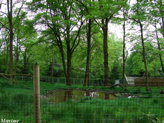 Maki Catta Park, the lemurs exhibit