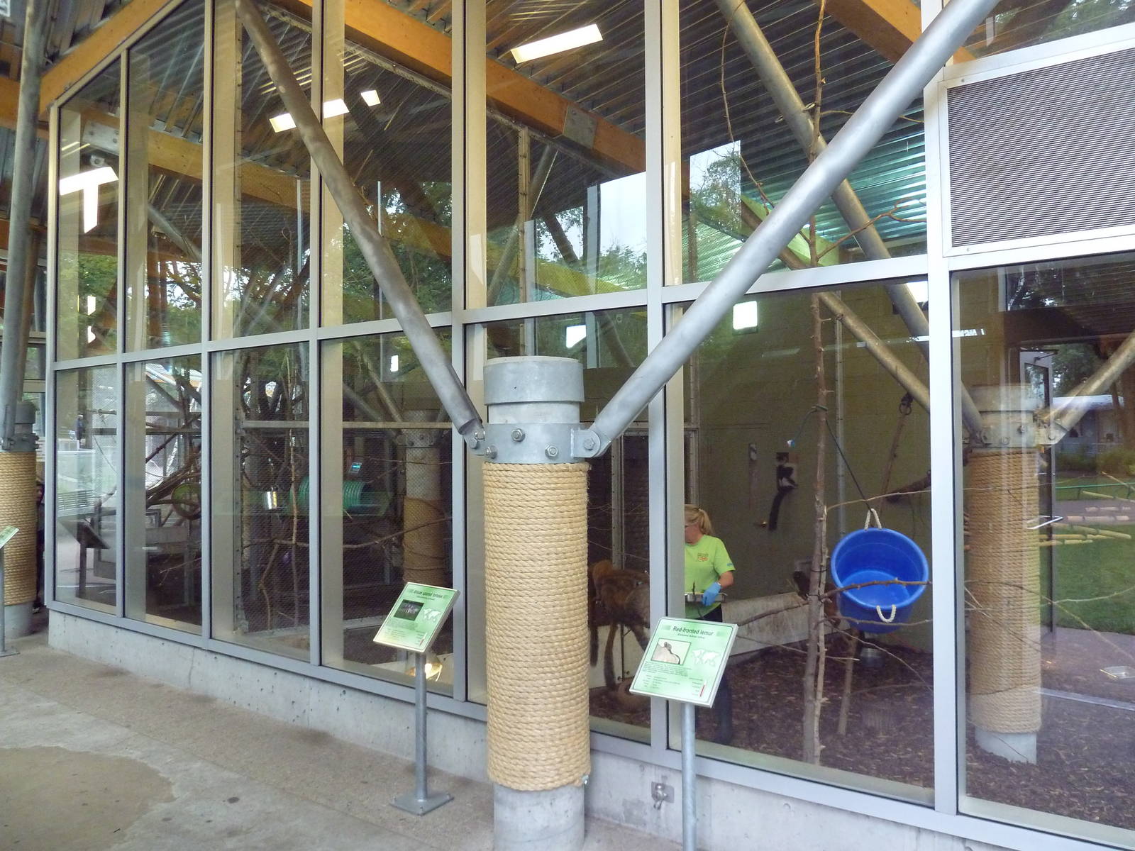 Makira Outpost - Lemur Complex