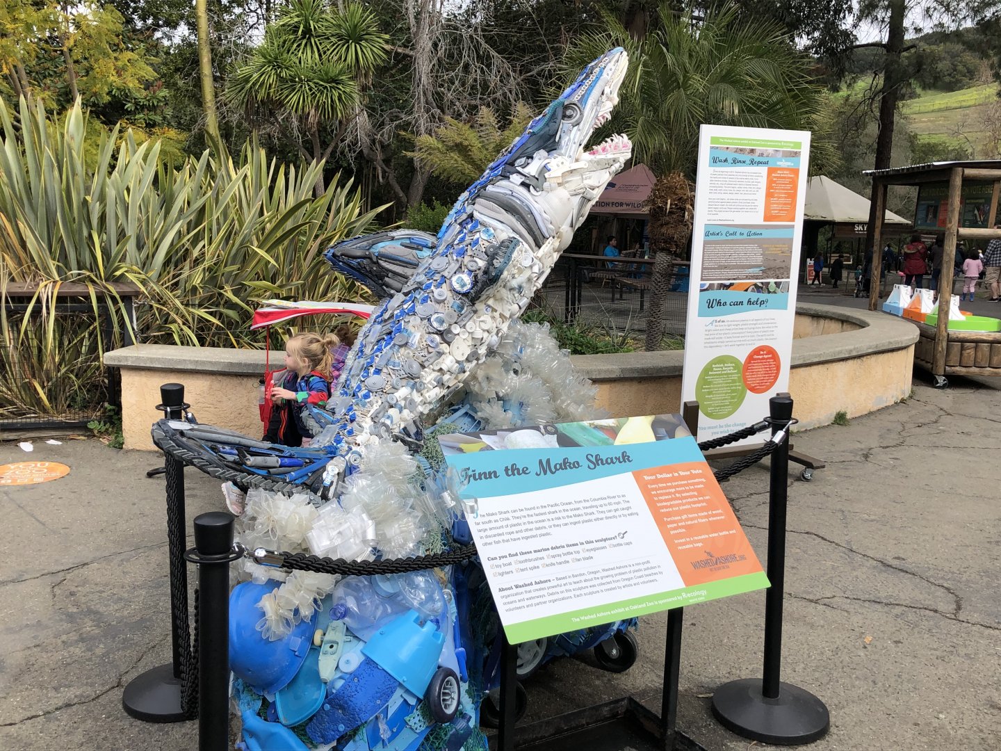 Mako shark recycled art
