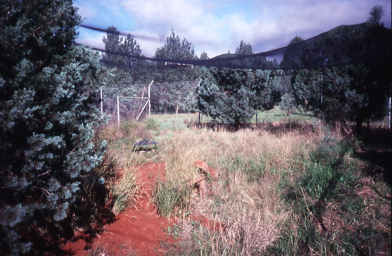 Mala Enclosure - 1990
