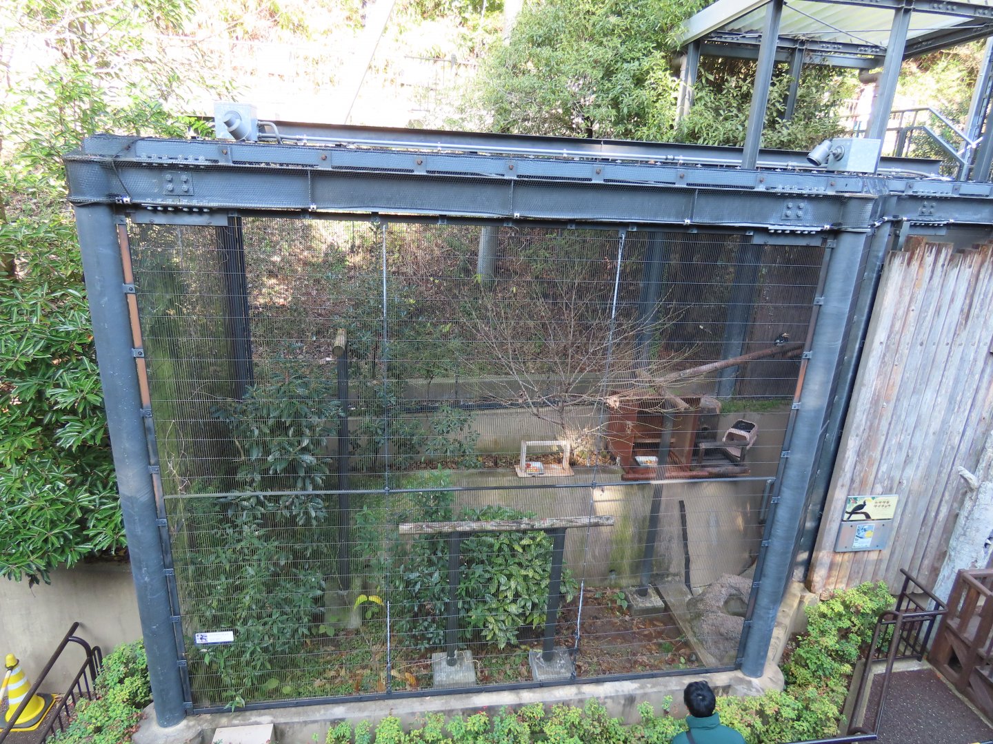 Malabar pied hornbill habitat