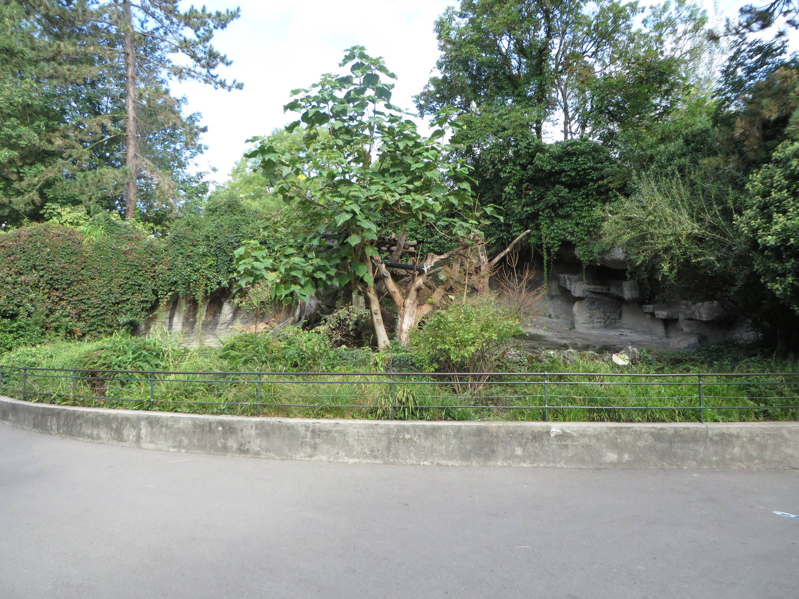 Malayan bear enclosure