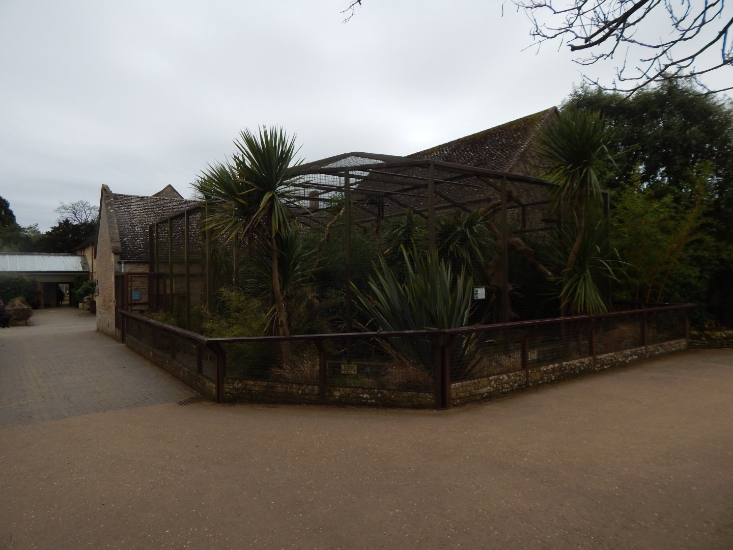Malayan binturong enclosure 280222