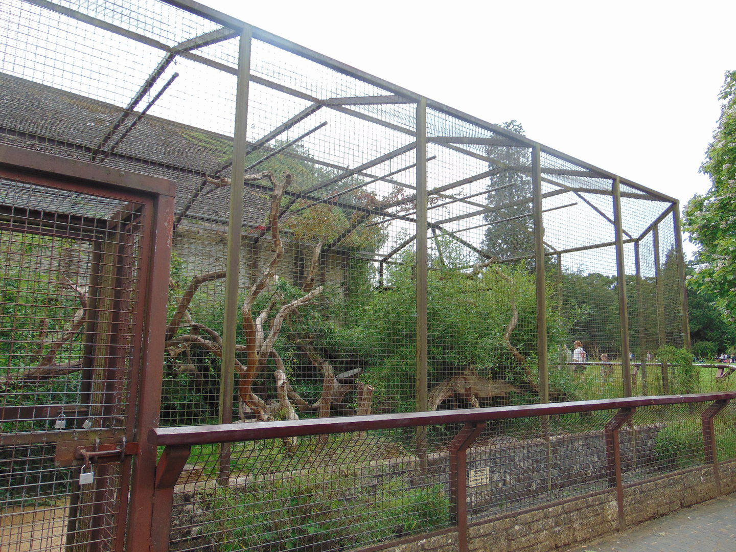 Malayan Binturong enclosure