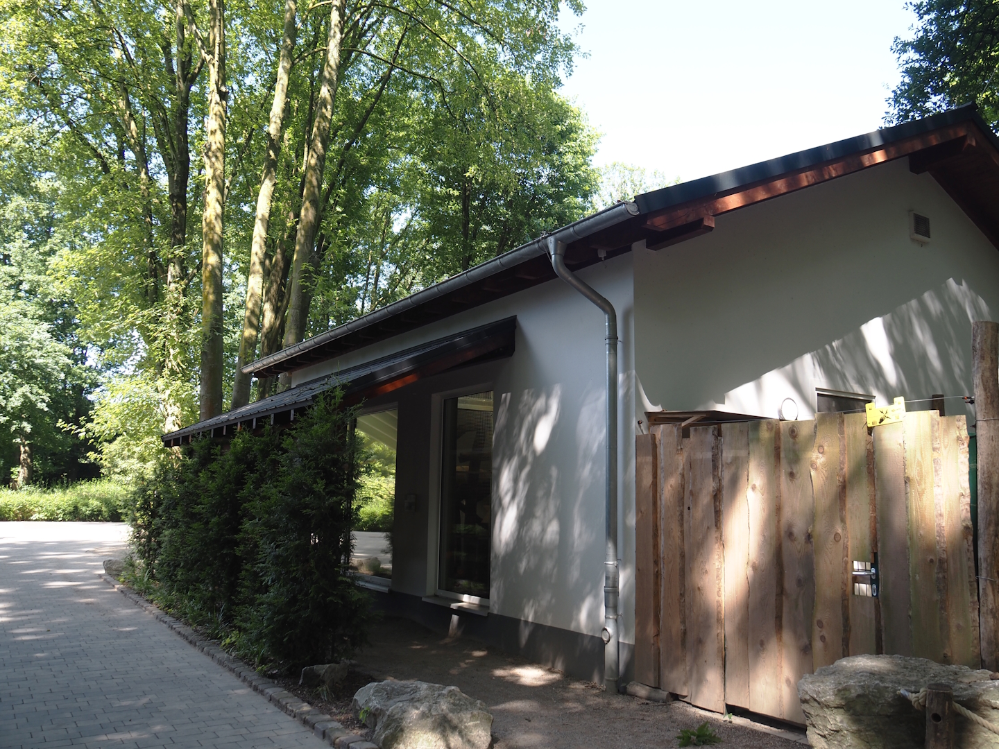 Malayan binturong house, 2024-06-08