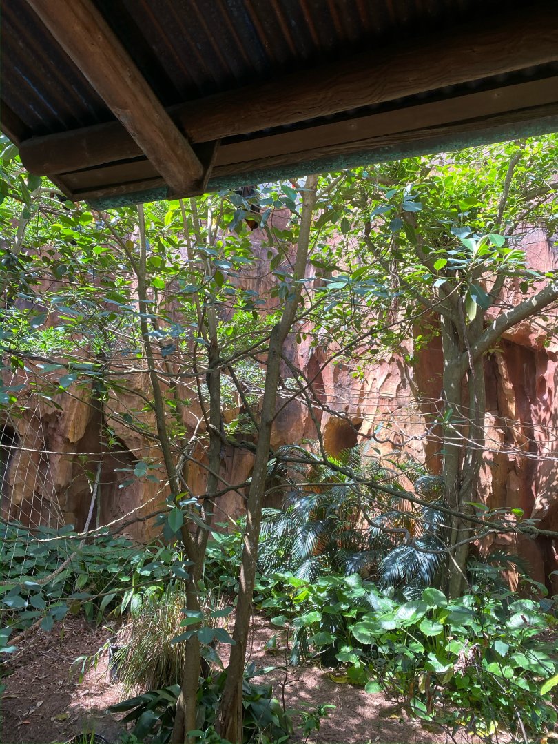 Malayan Flying Fox Exhibit