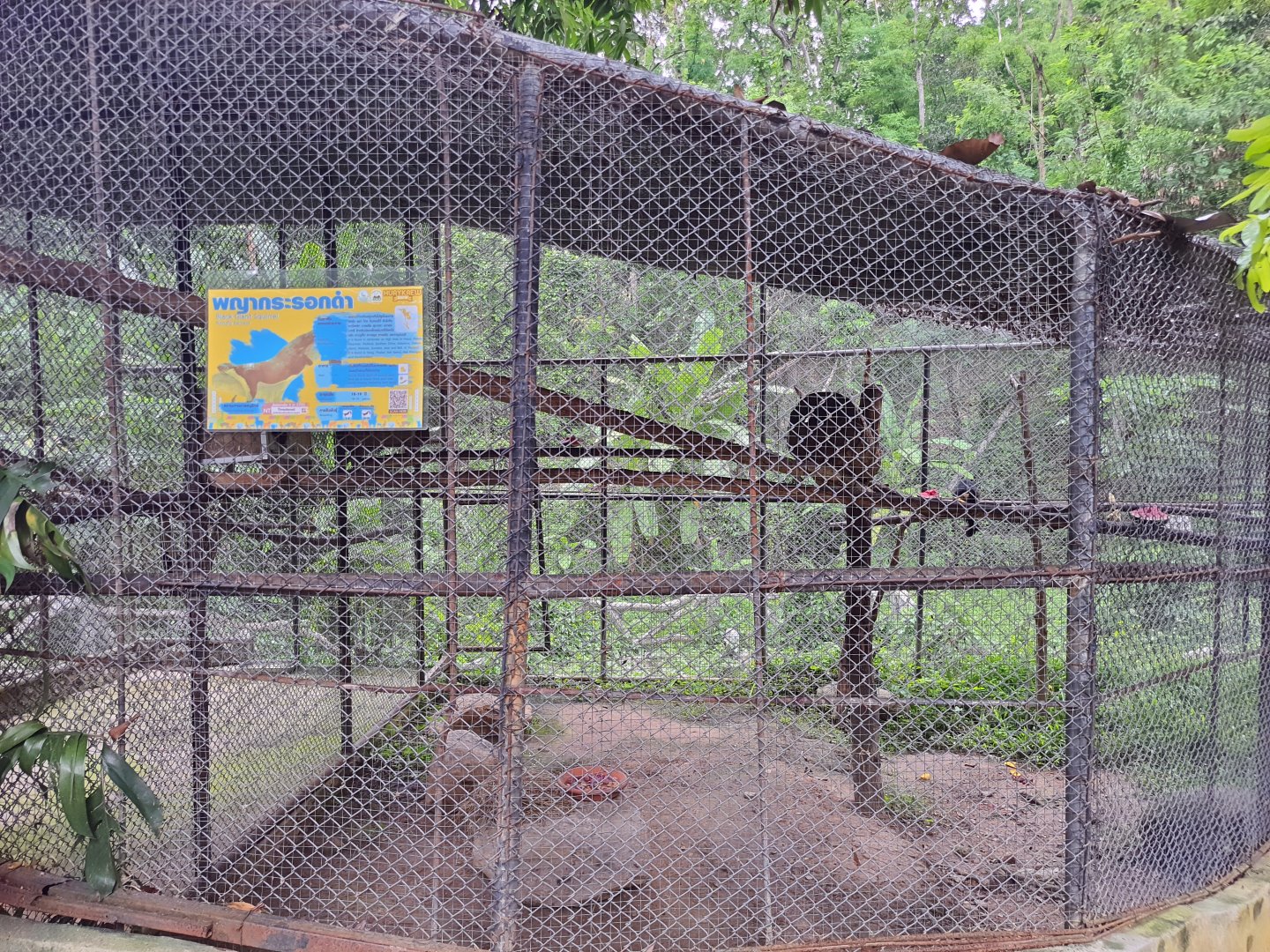 Malayan Giant Squirrel Exhibit
