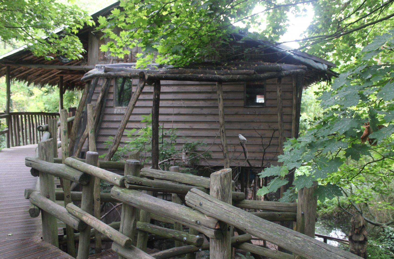 Malayan long-house with aviary