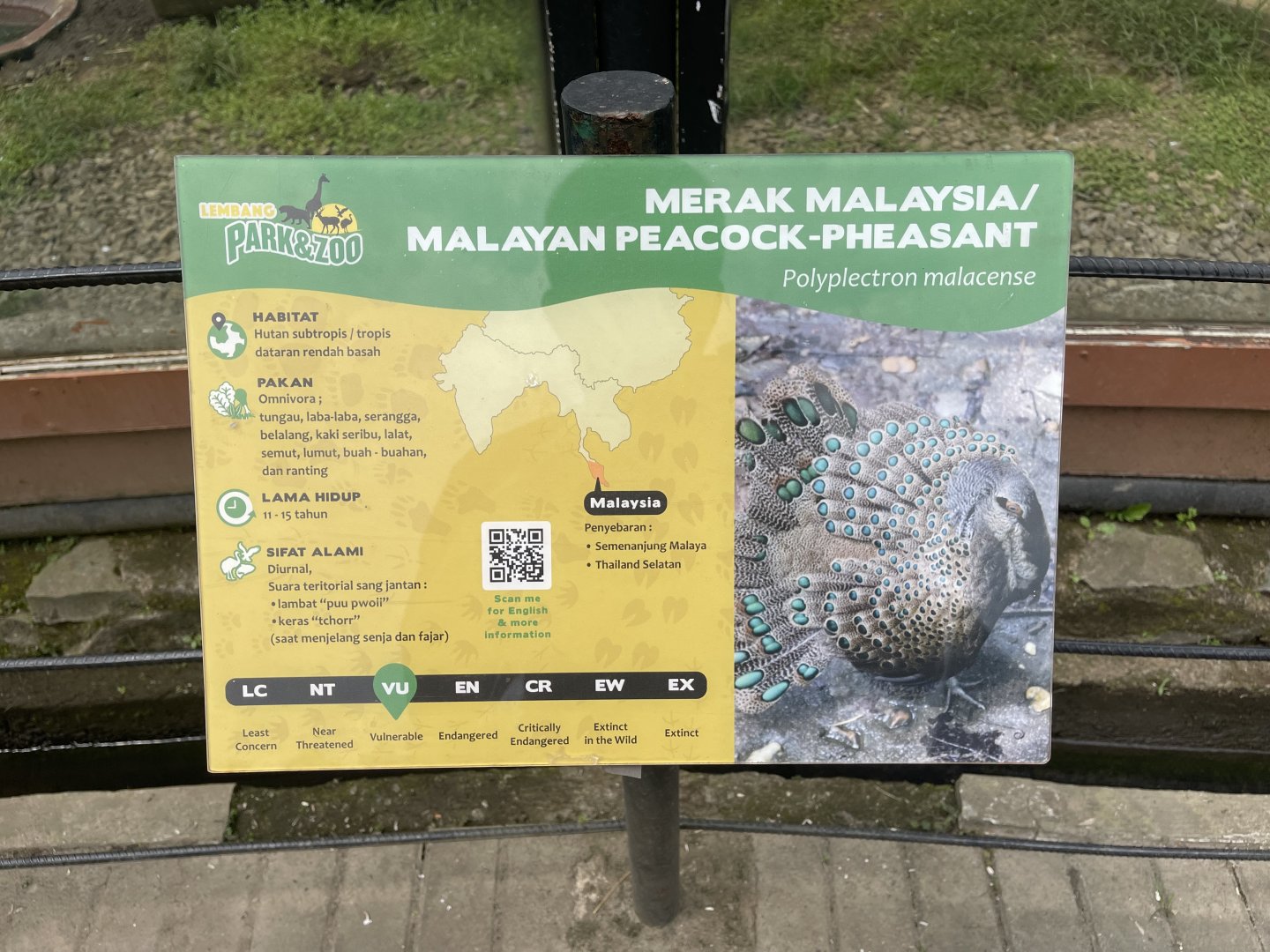 malayan peacock-pheasant signage (mislabeled/inaccurate)
