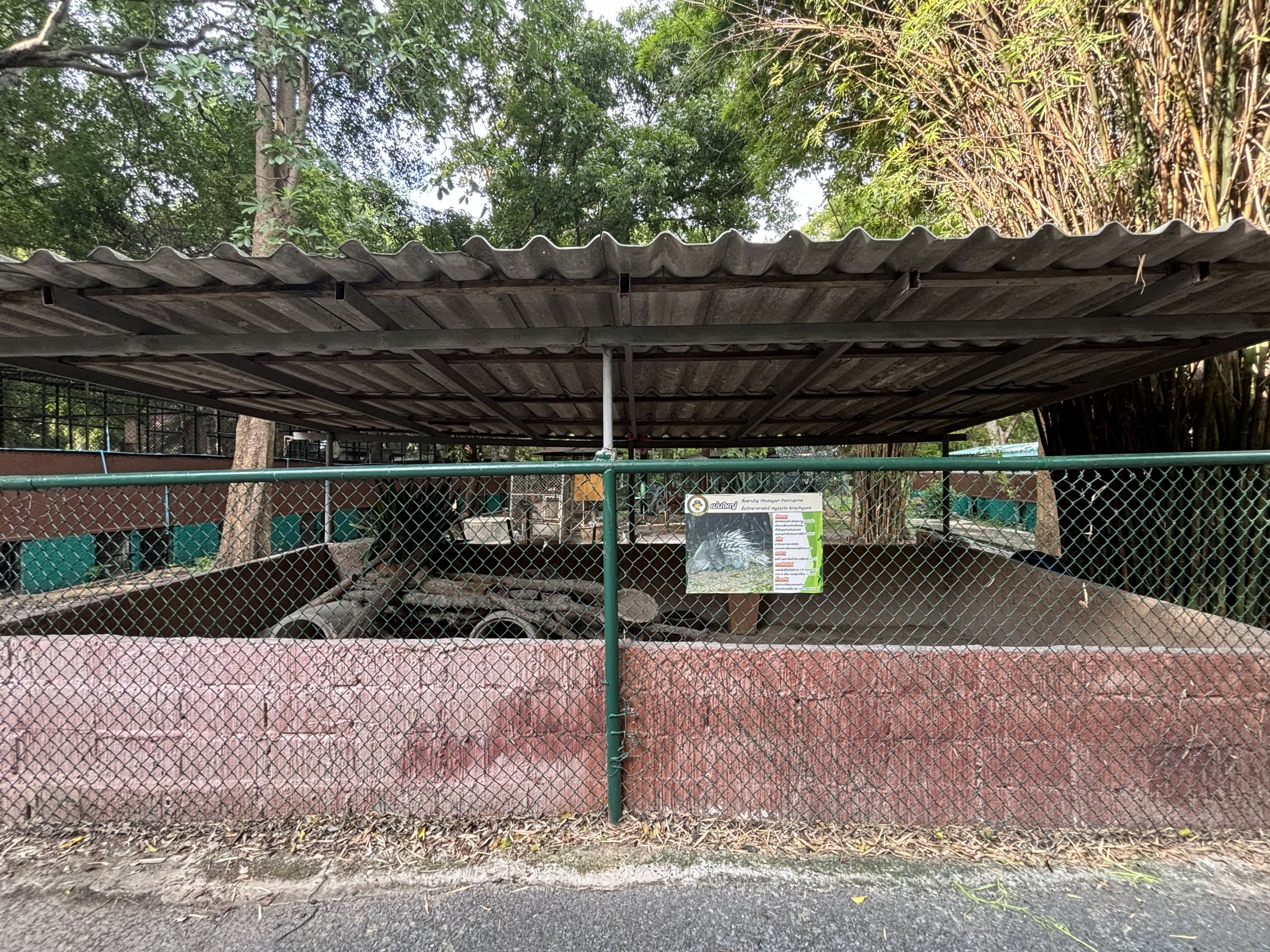 Malayan Porcupine Exhibit - Lopburi Zoo