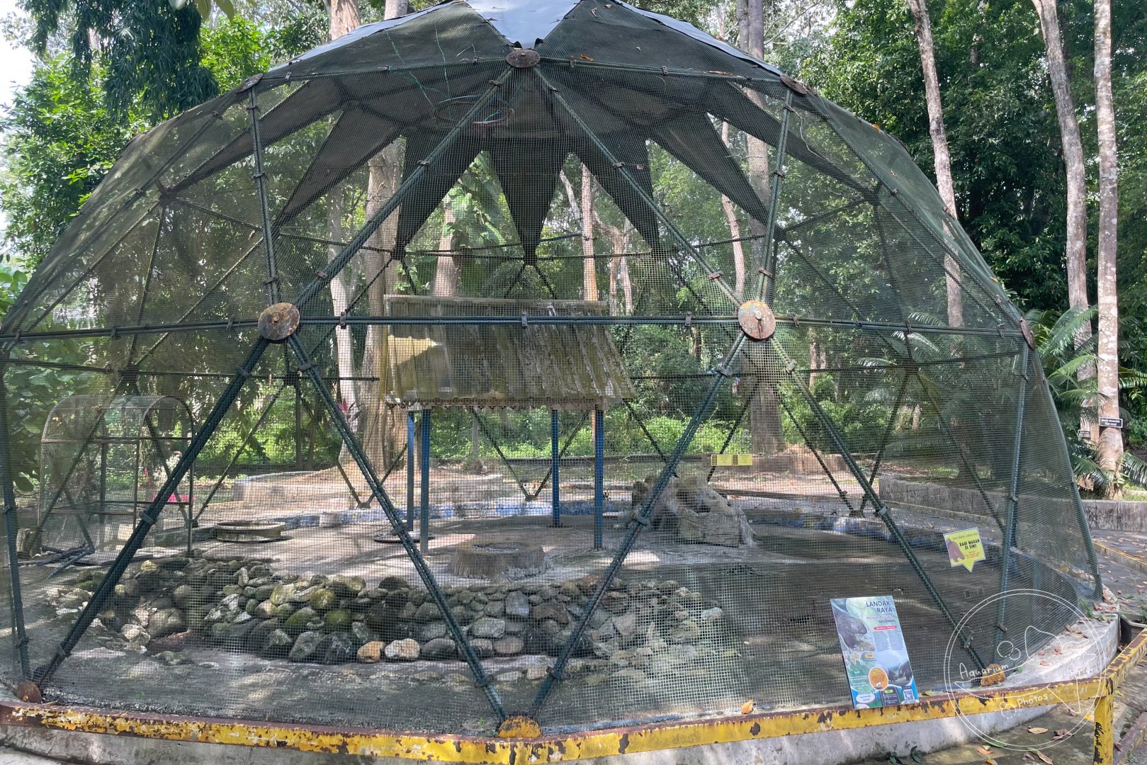 Malayan Porcupine Exhibit