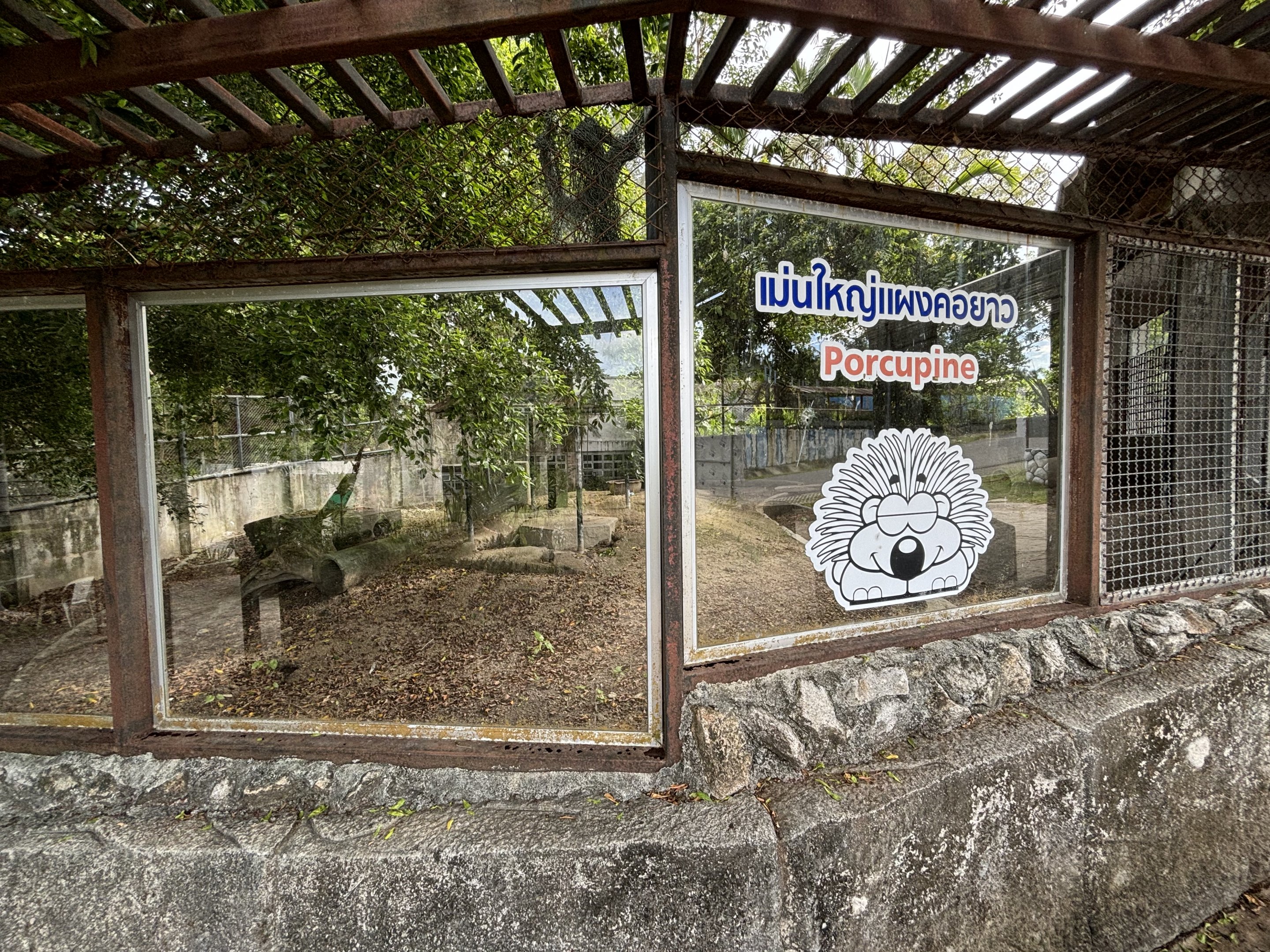Malayan Porcupine Exhibit