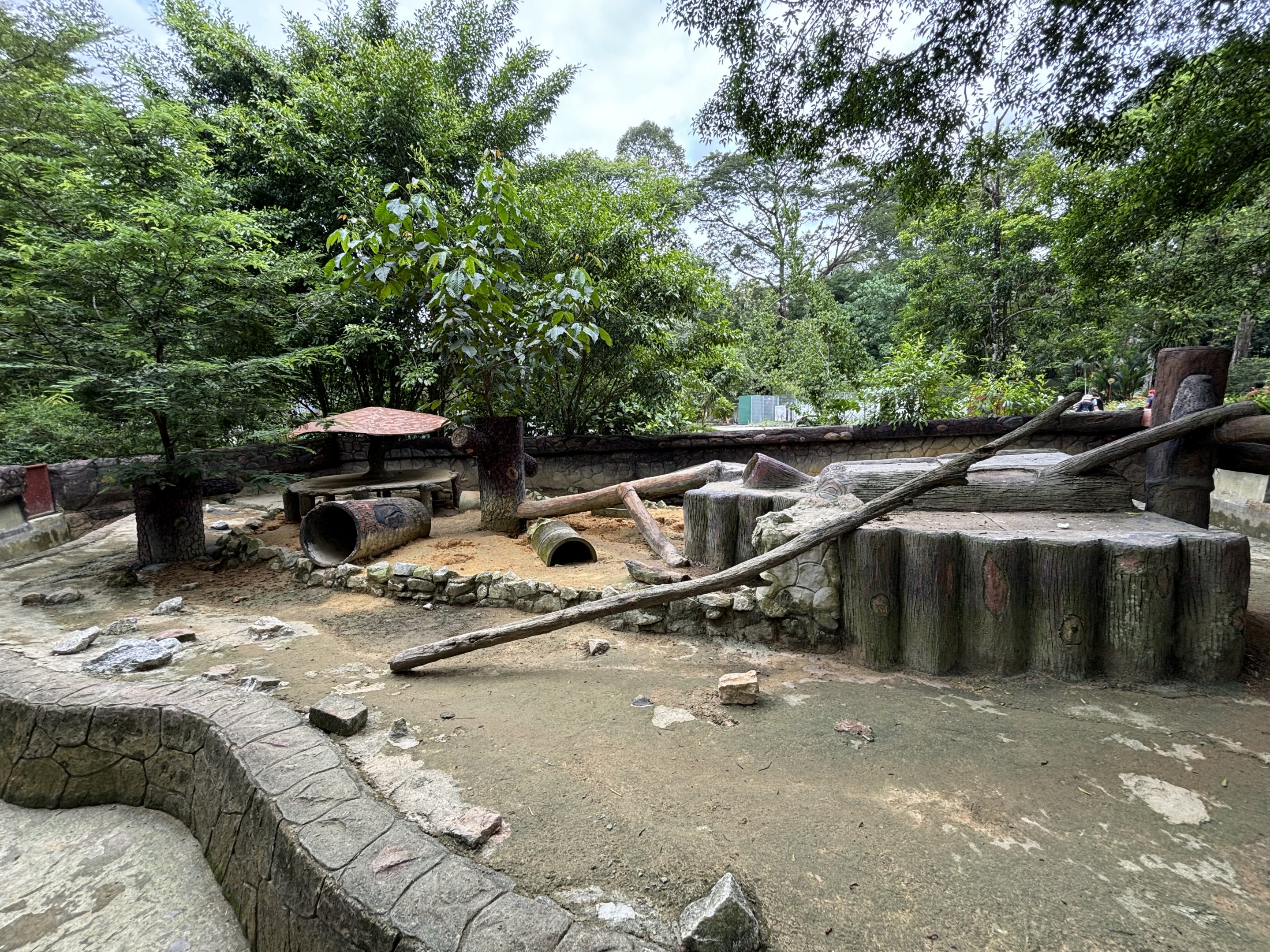 Malayan Porcupine Exhibit