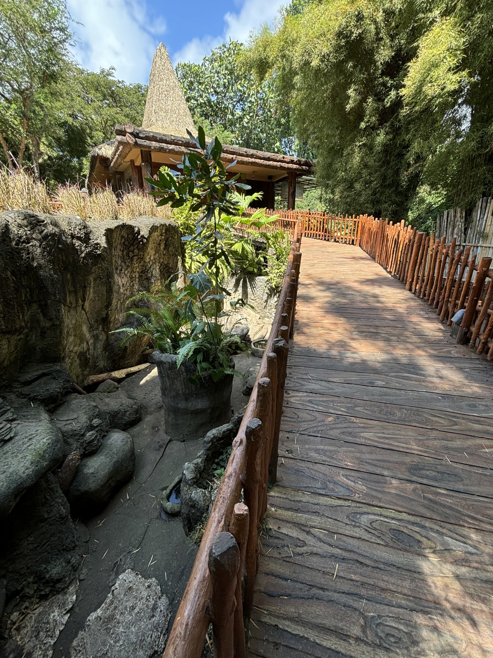 Malayan Porcupine Exhibit