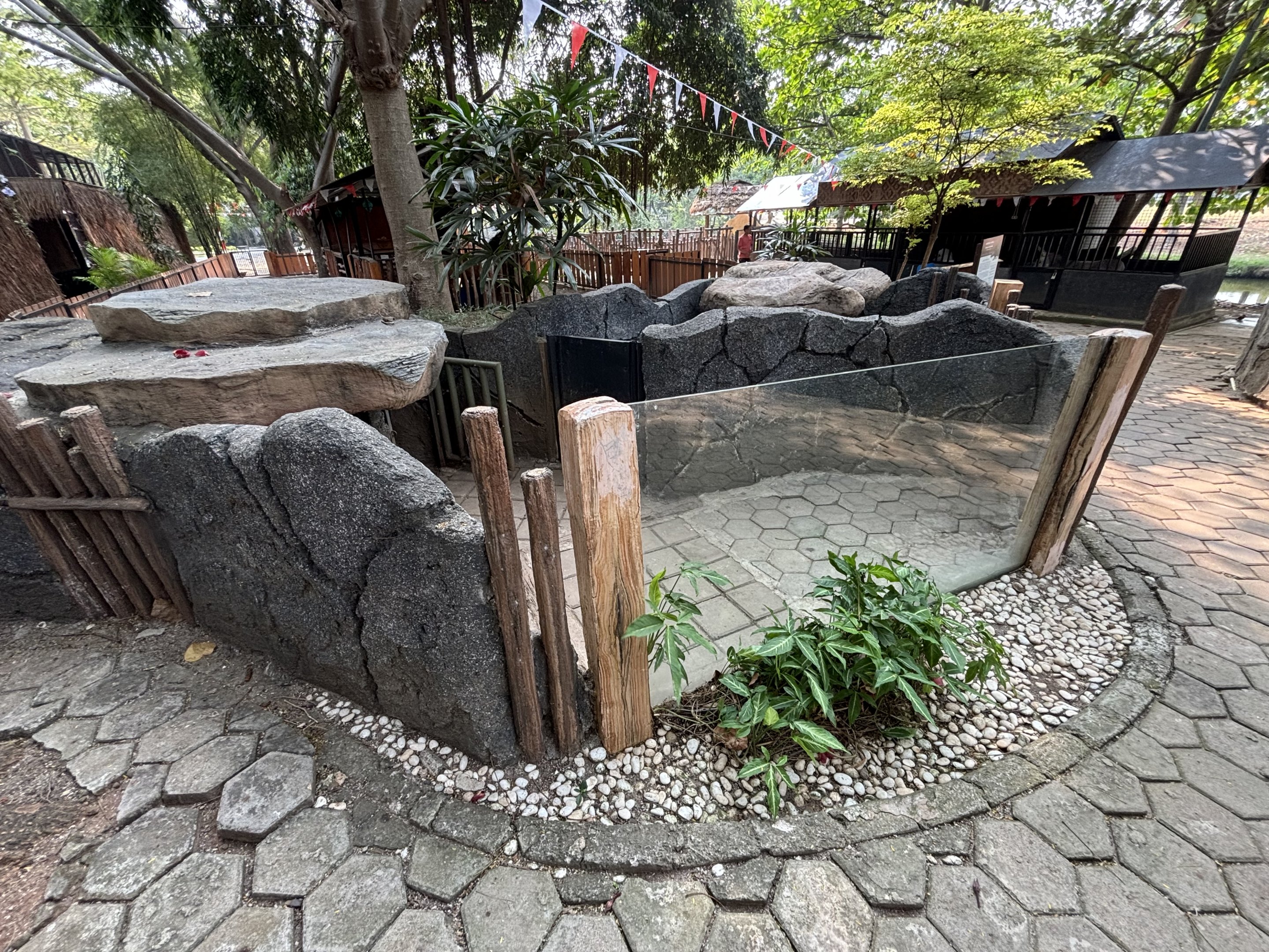 Malayan Porcupine Exhibit