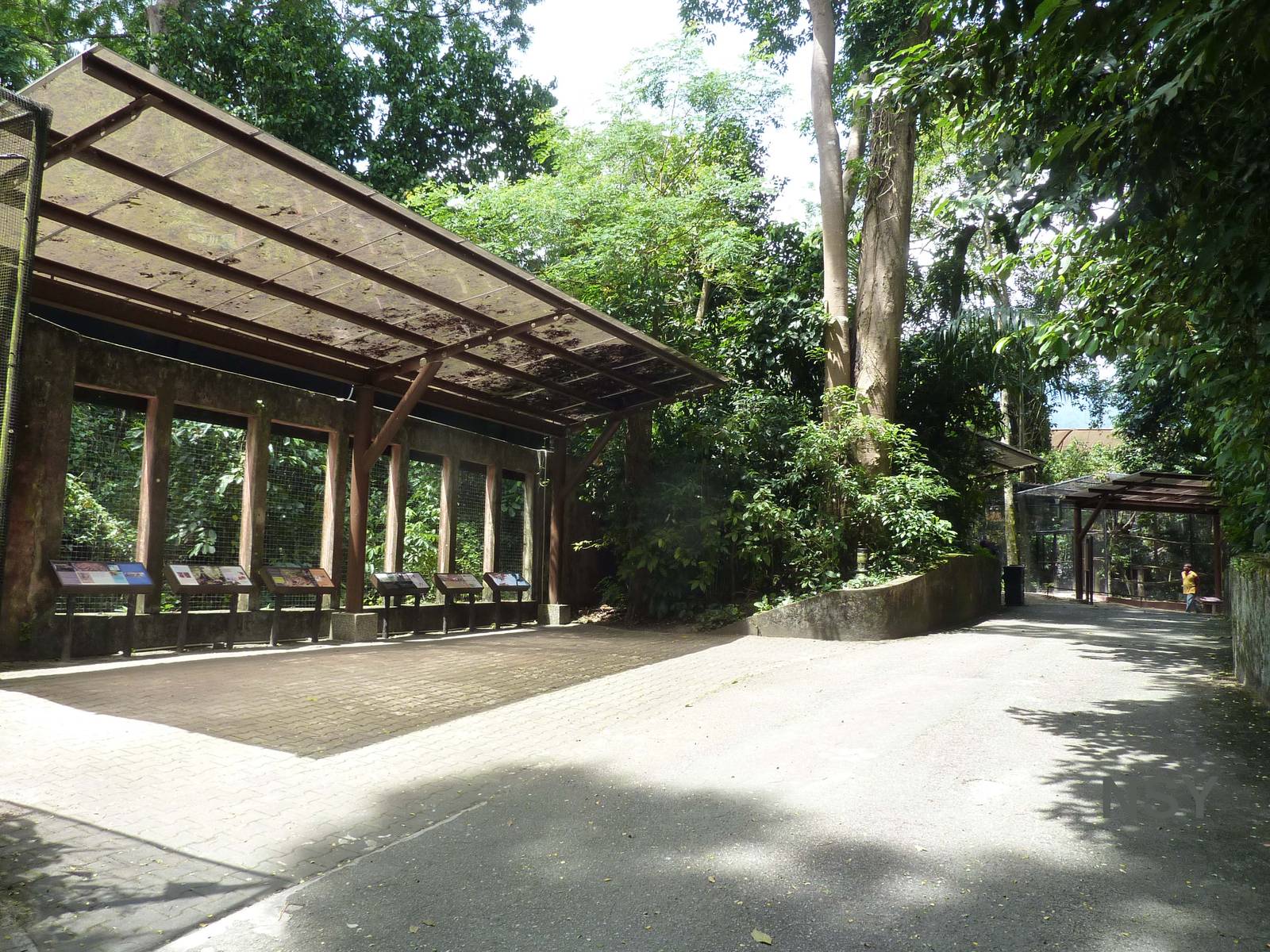 Malayan rainforest viewing areas, May 2013