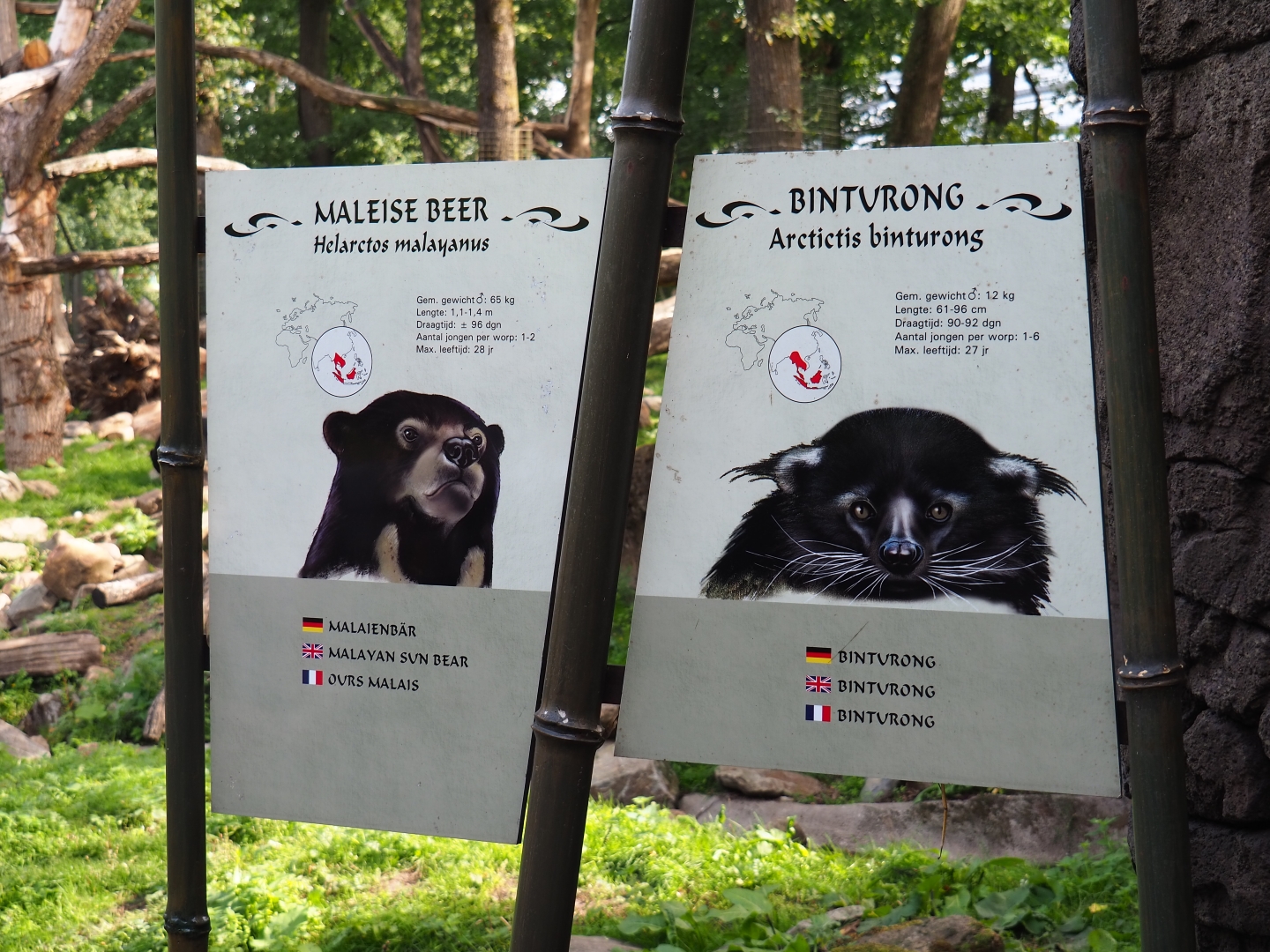 Malayan sun bear and binturong signs (Sep 16th, 2018)