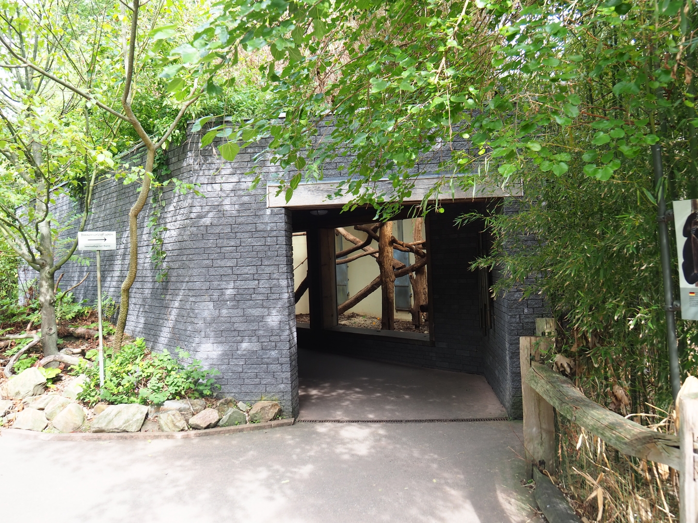 Malayan sun bear - Binturong house (Sep 16th, 2018)