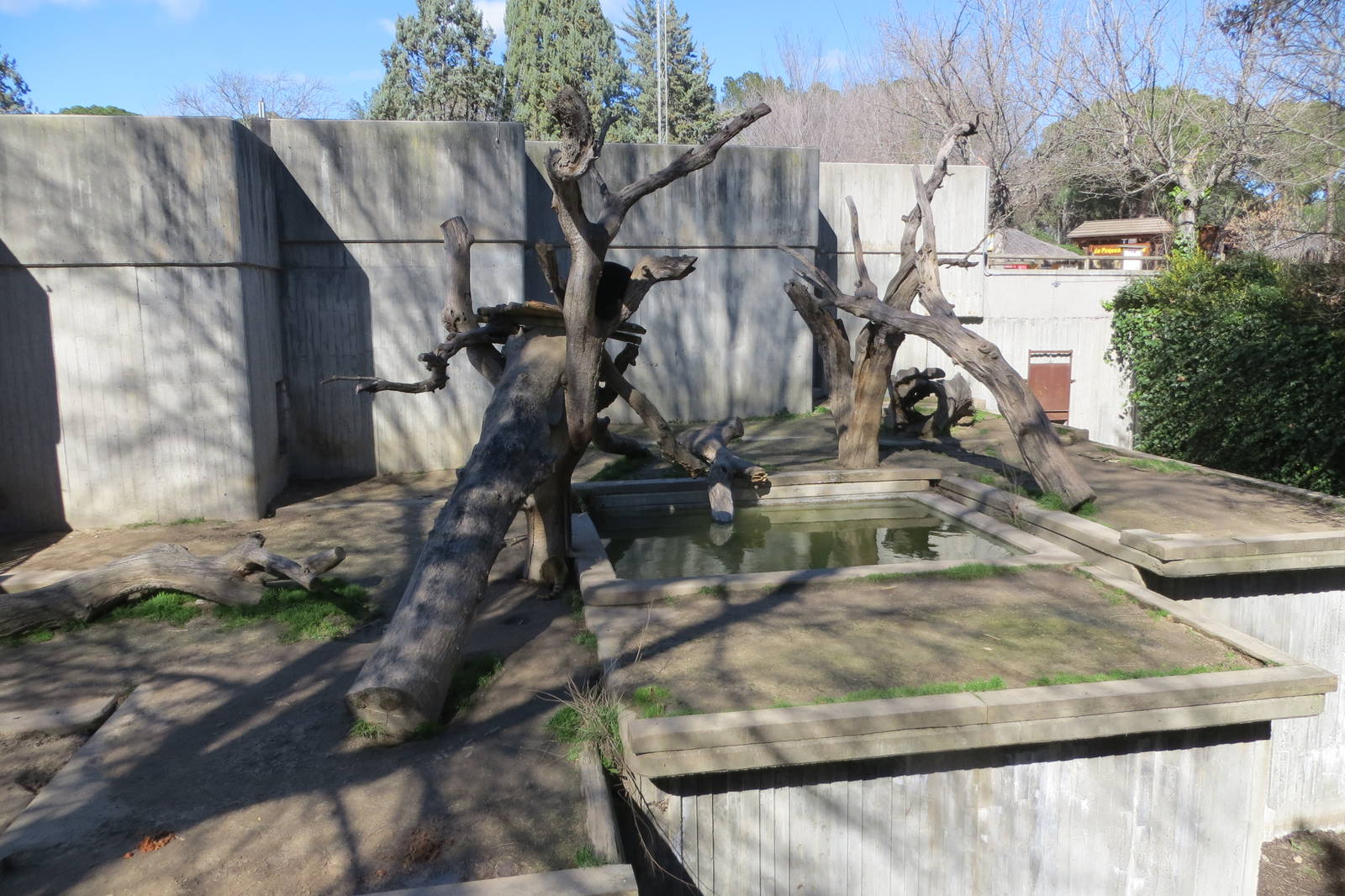 Malayan Sun Bear enclosure 150216