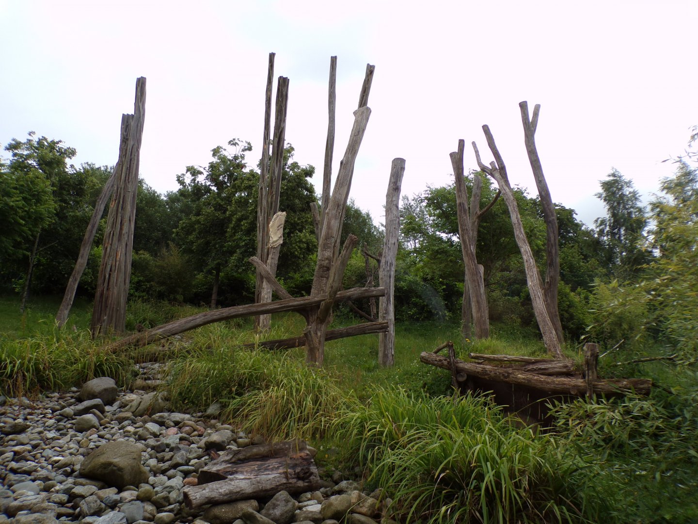 Malayan sun bear enclosure 29.6.24